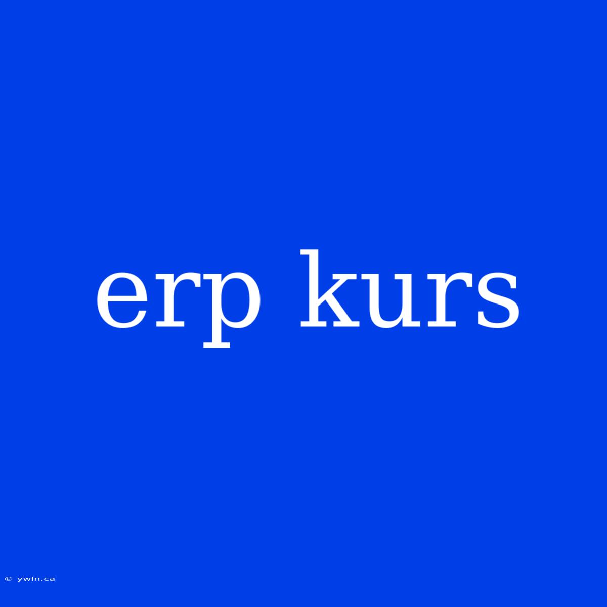 Erp Kurs