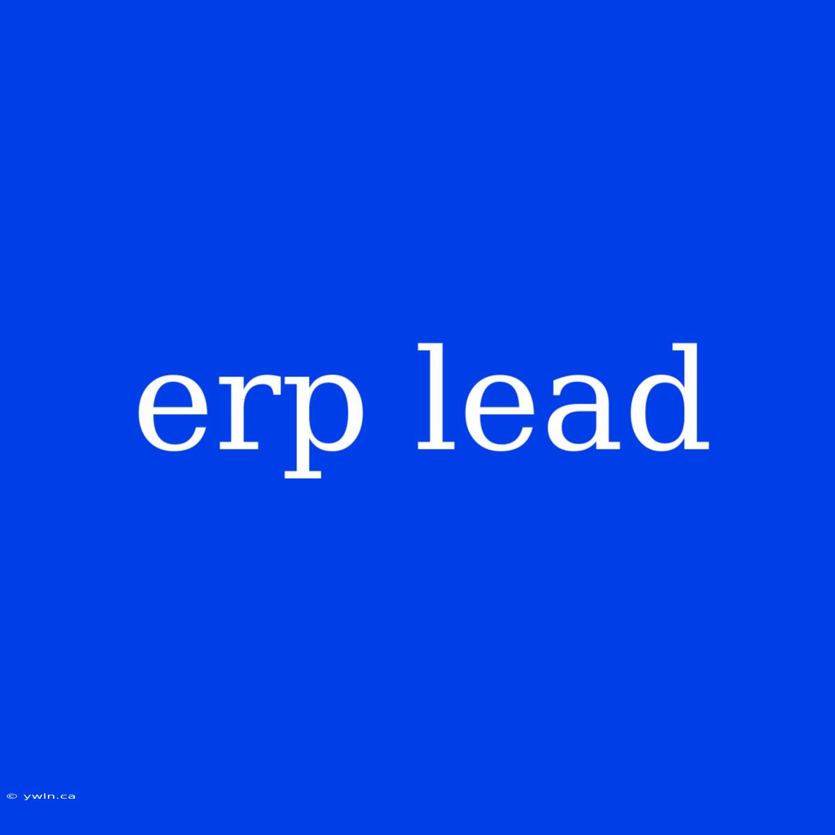 Erp Lead