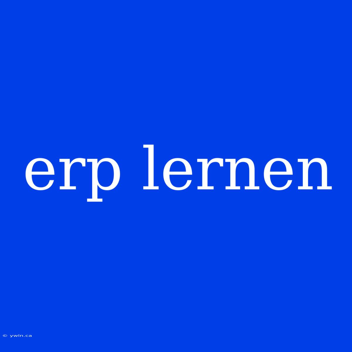 Erp Lernen