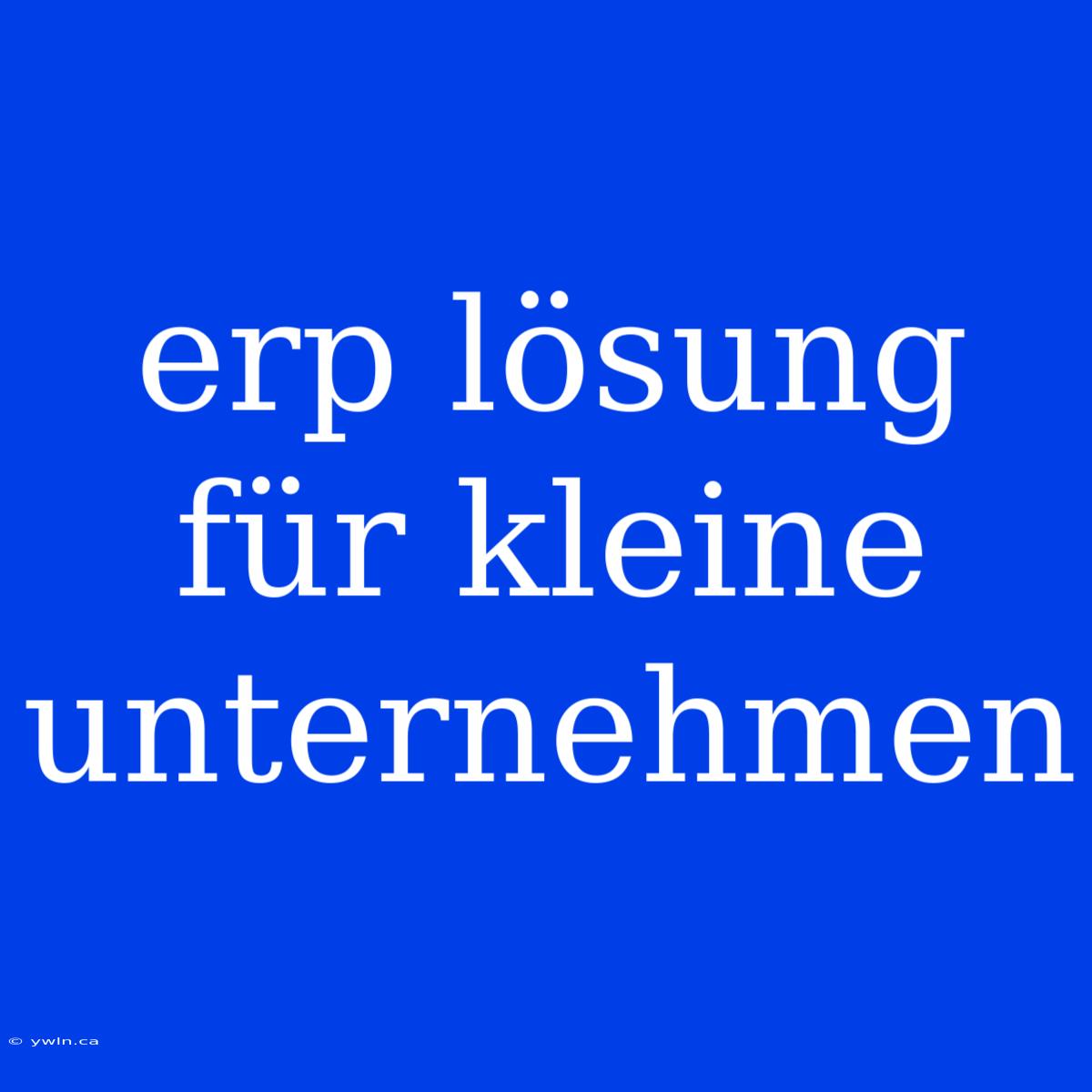 Erp Lösung Für Kleine Unternehmen