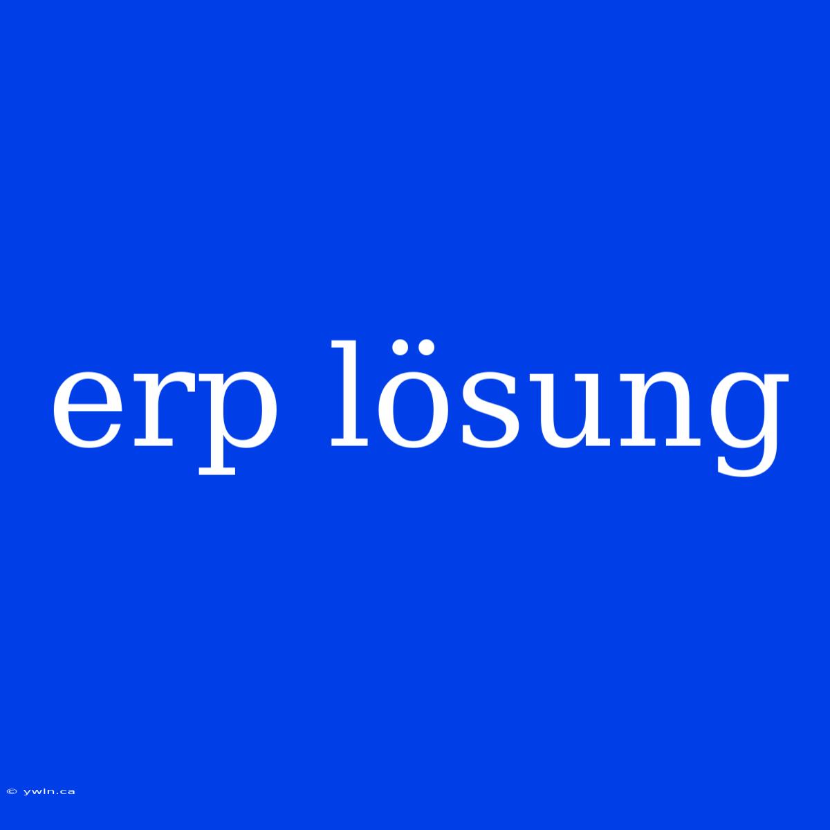 Erp Lösung