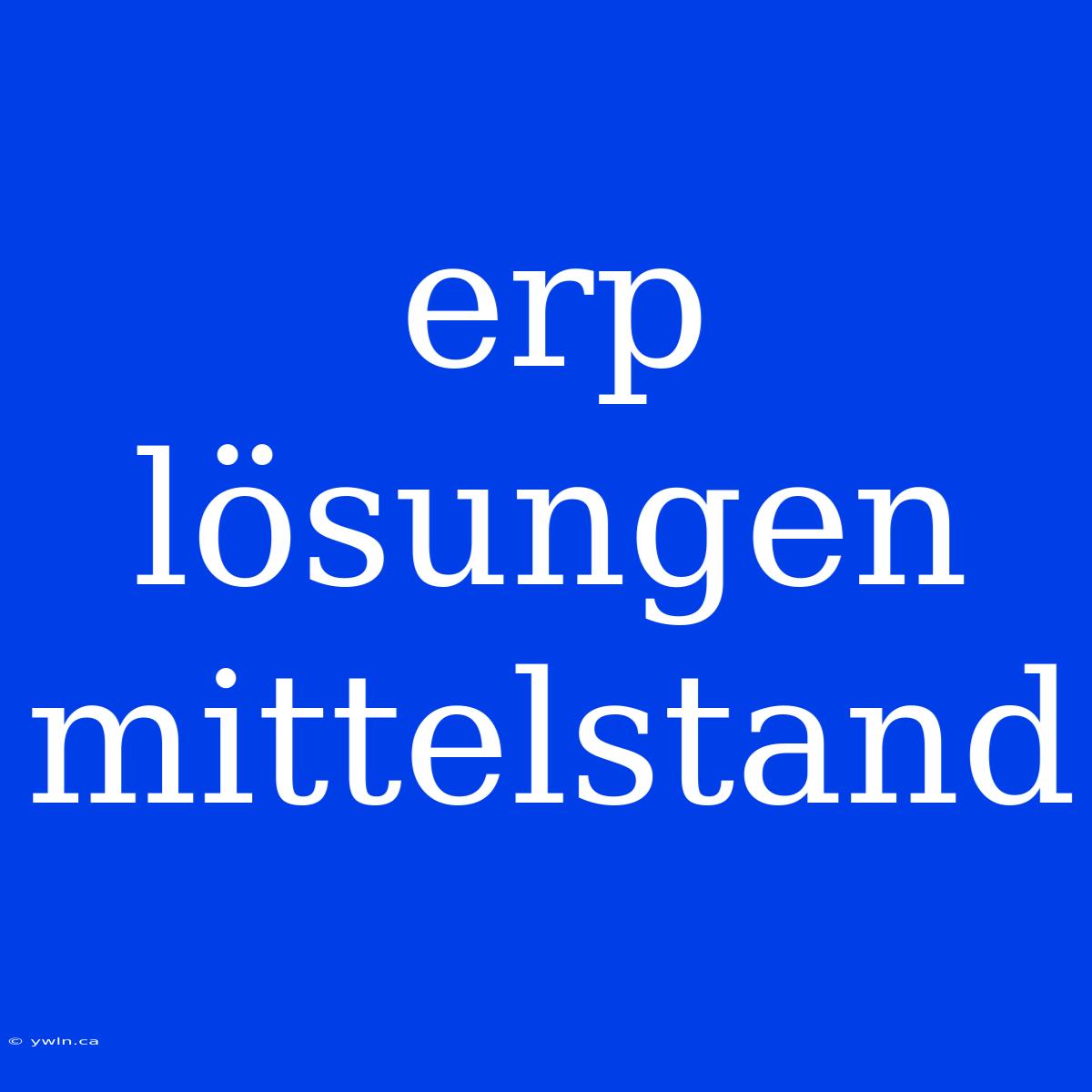 Erp Lösungen Mittelstand