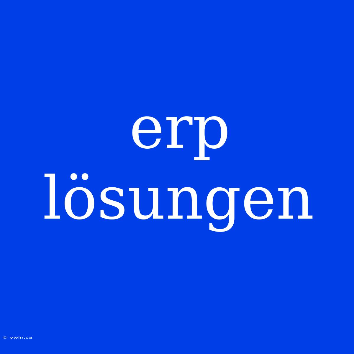 Erp Lösungen