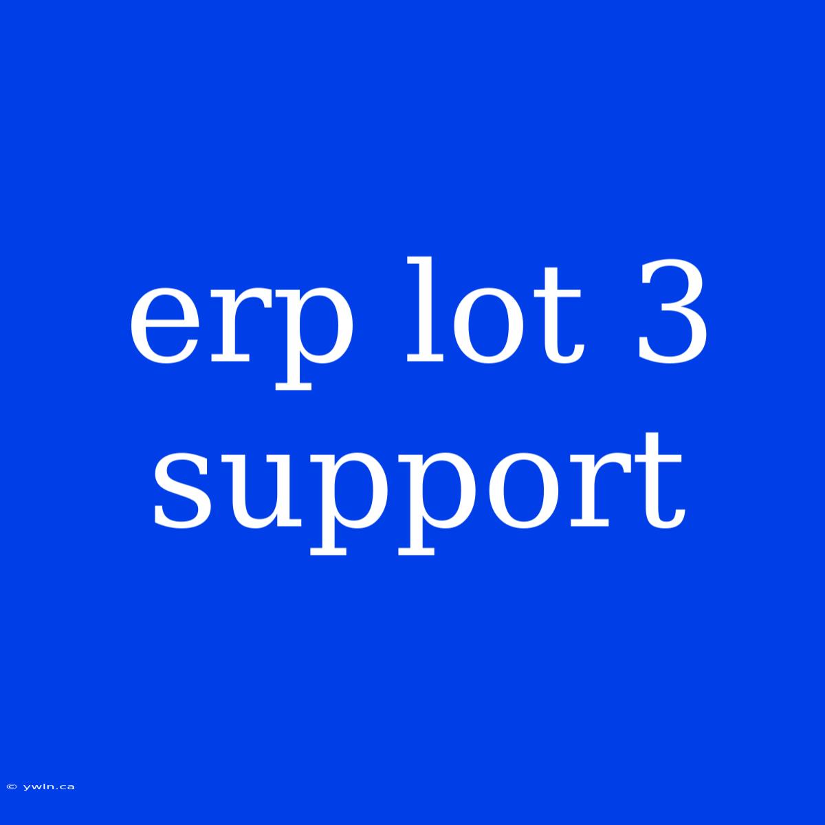 Erp Lot 3 Support