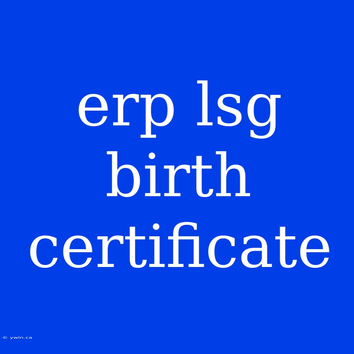 Erp Lsg Birth Certificate