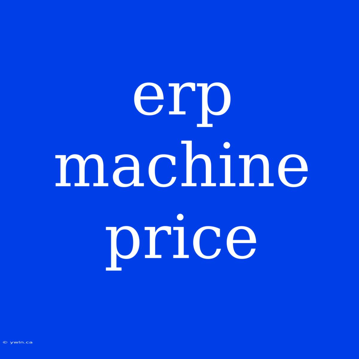 Erp Machine Price