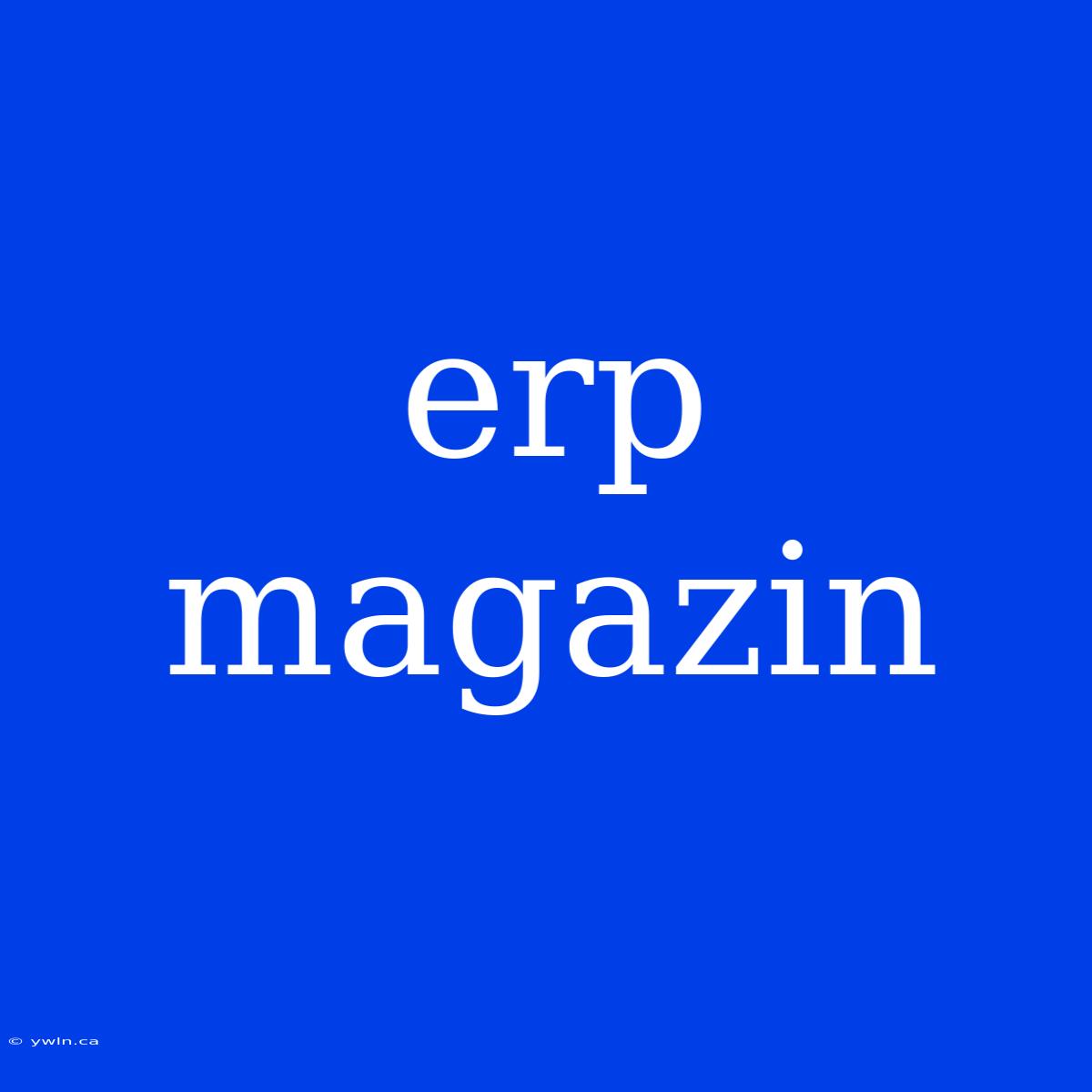 Erp Magazin