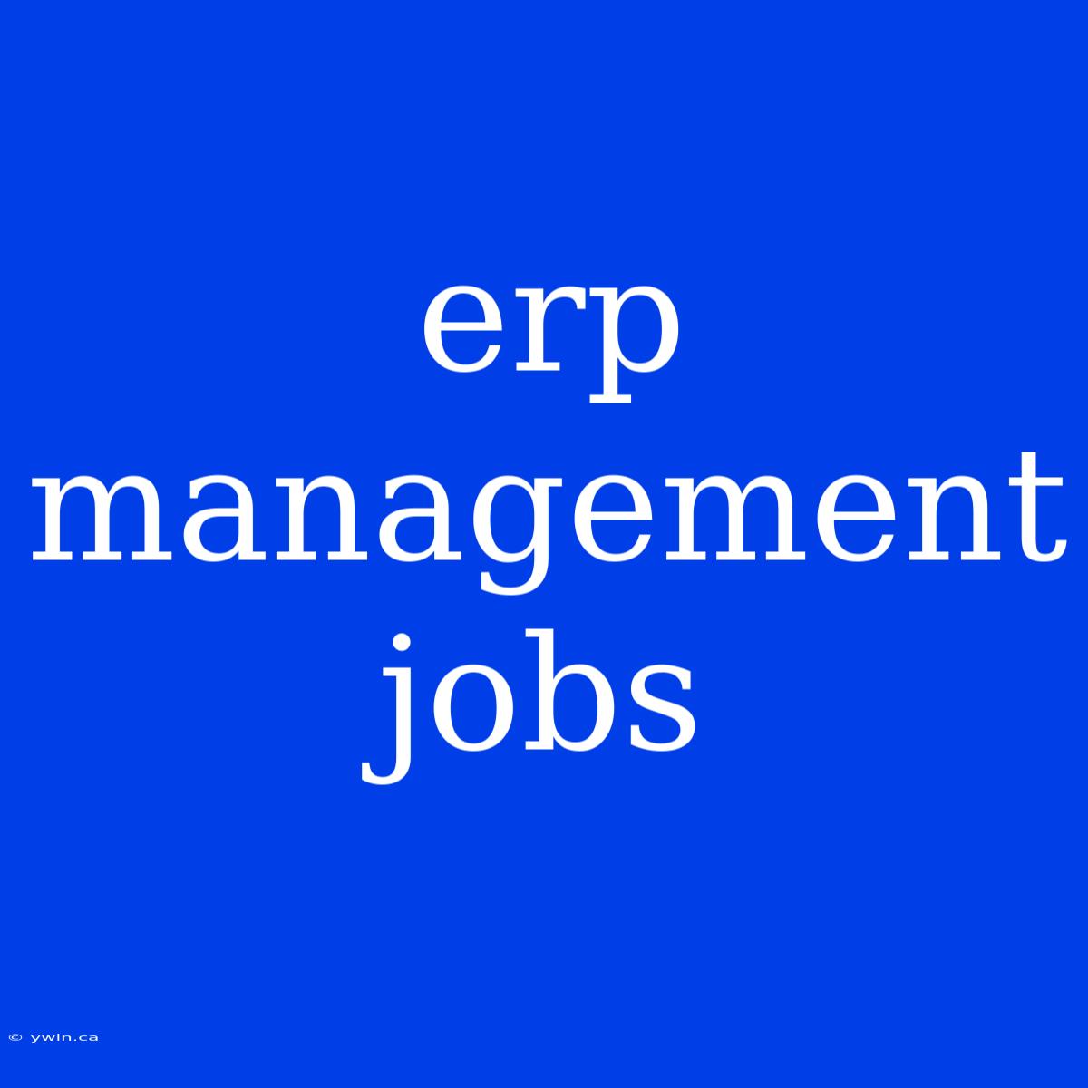 Erp Management Jobs