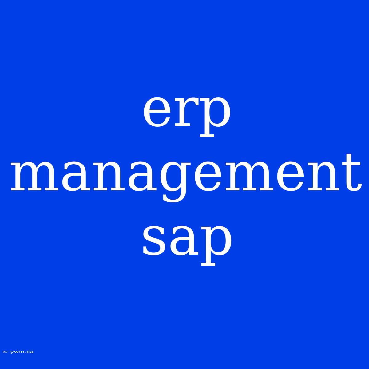 Erp Management Sap