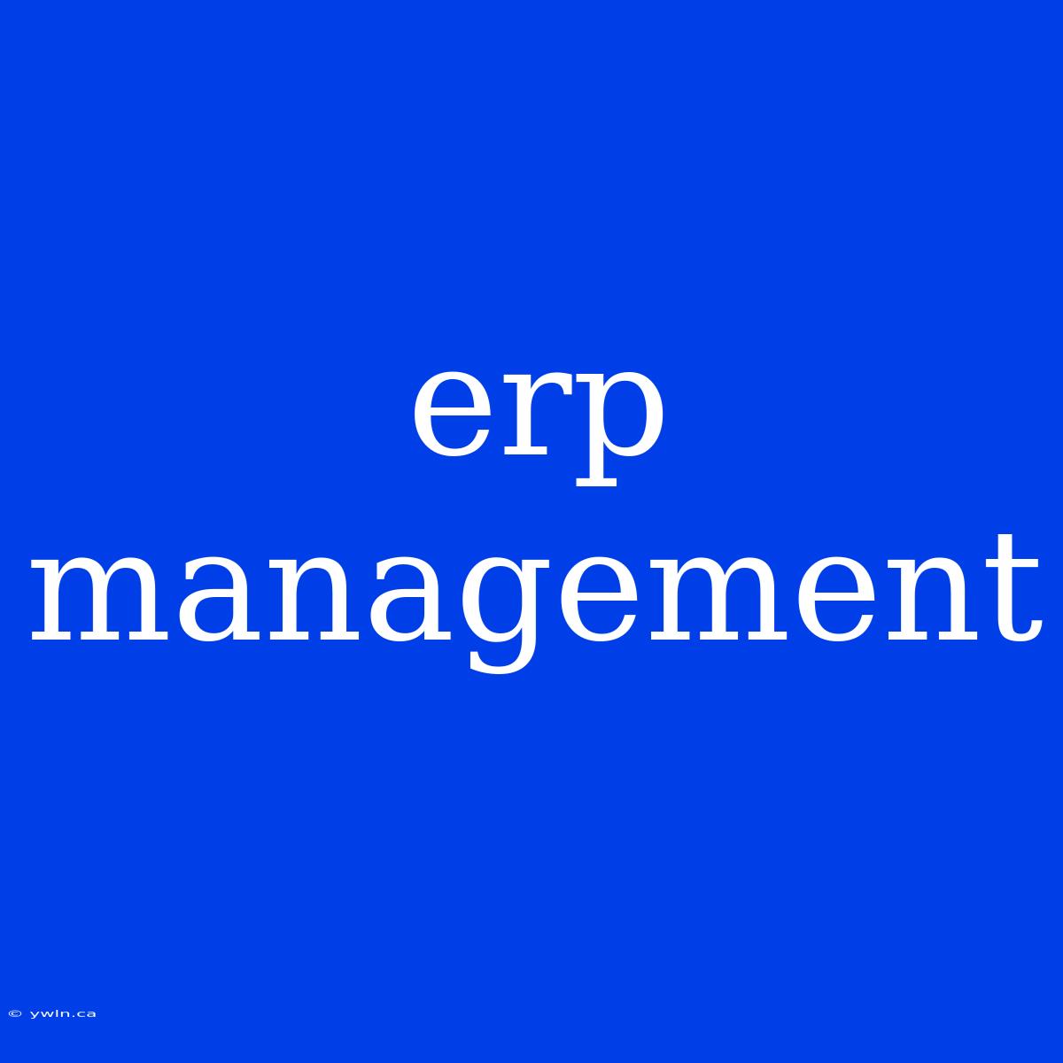 Erp Management