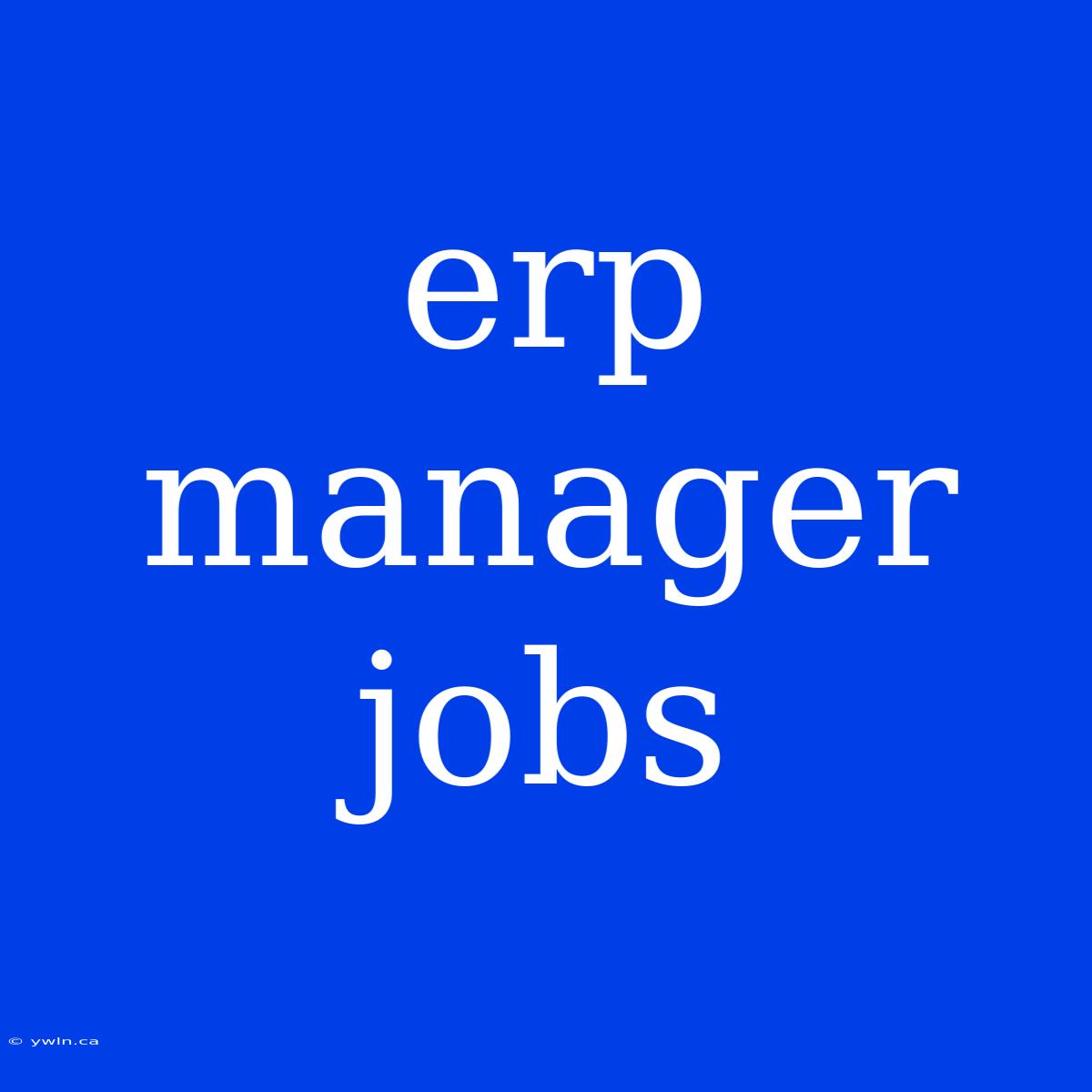 Erp Manager Jobs