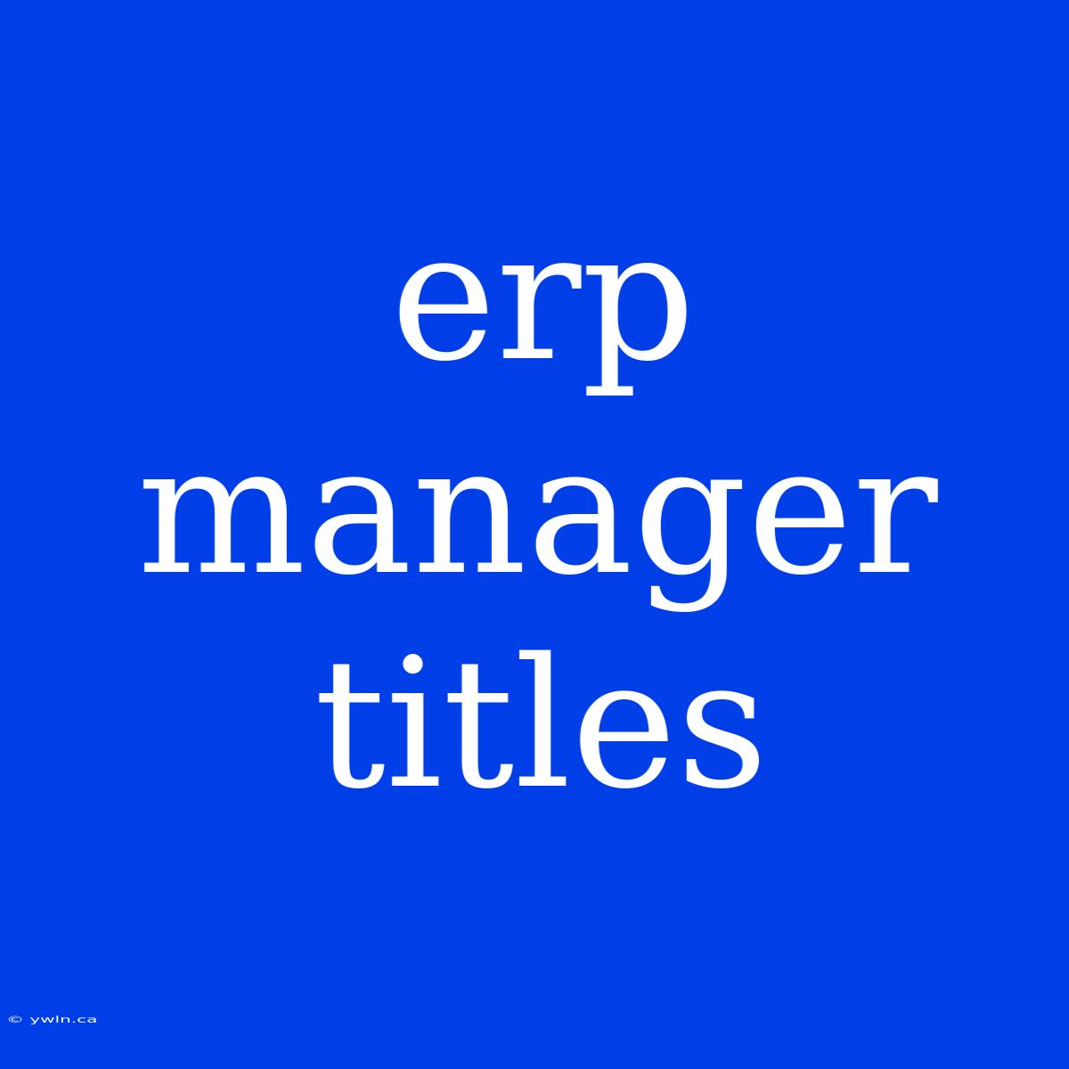 Erp Manager Titles