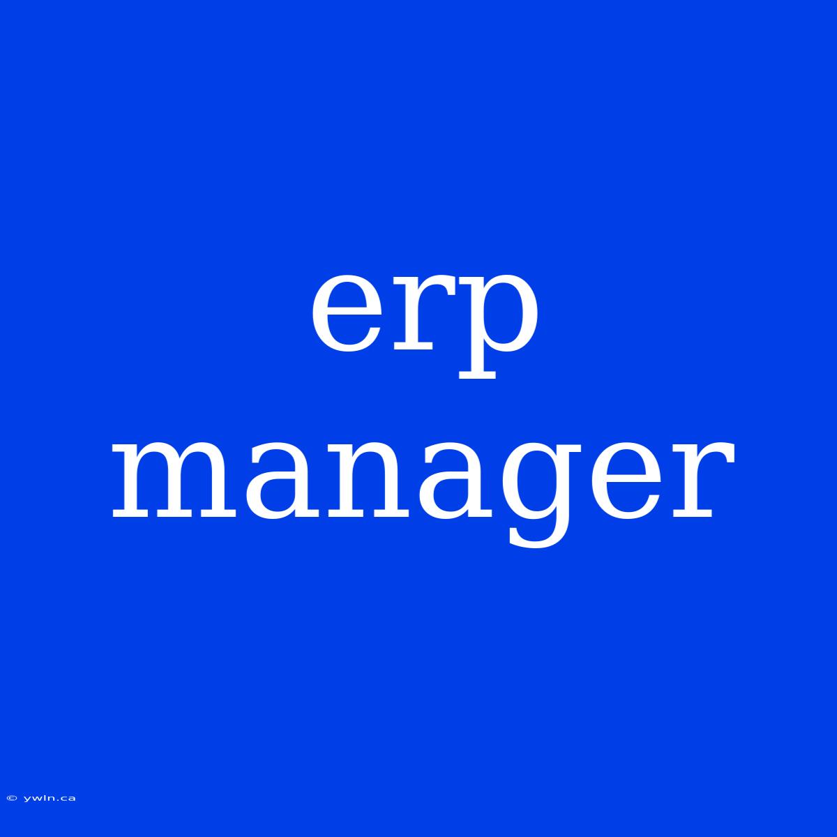 Erp Manager