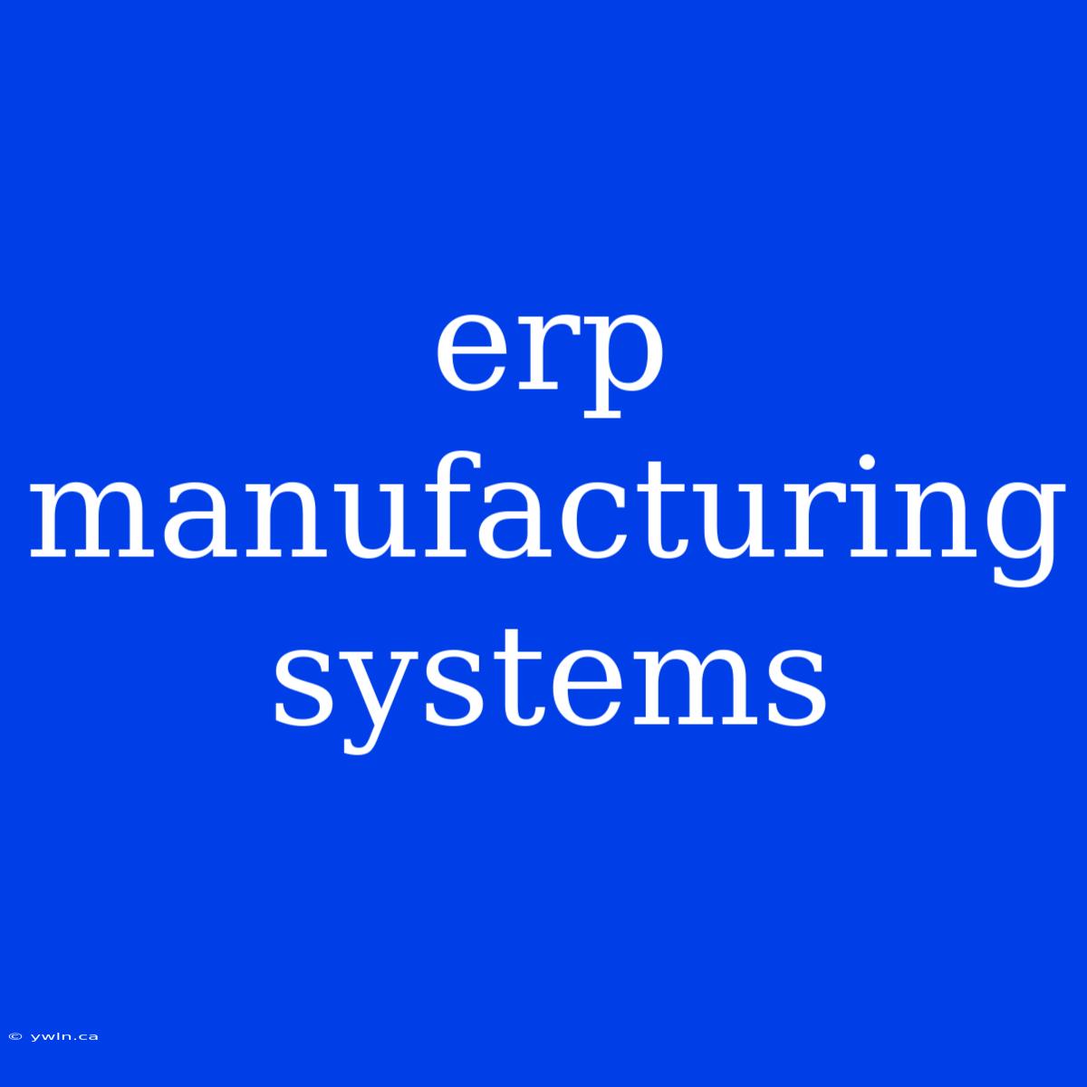 Erp Manufacturing Systems