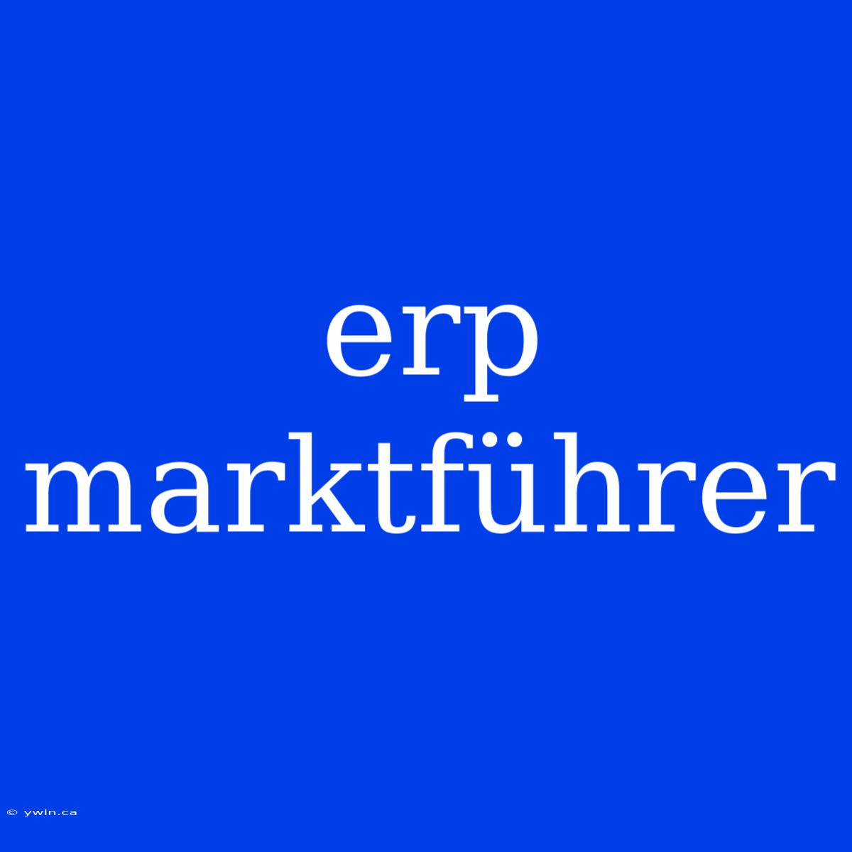 Erp Marktführer