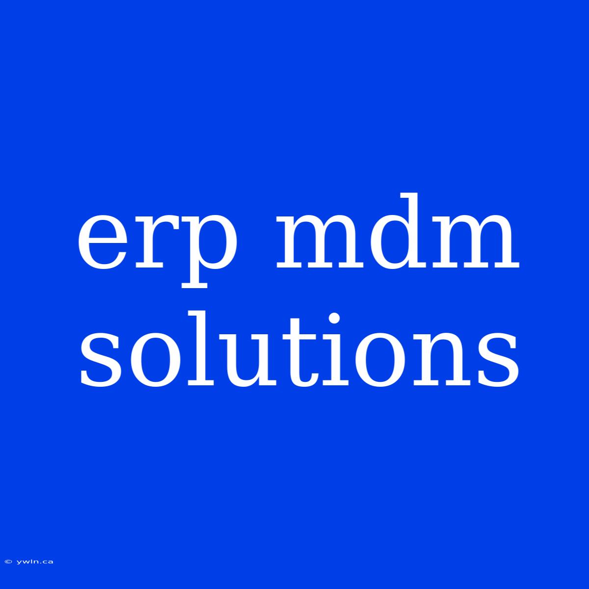 Erp Mdm Solutions