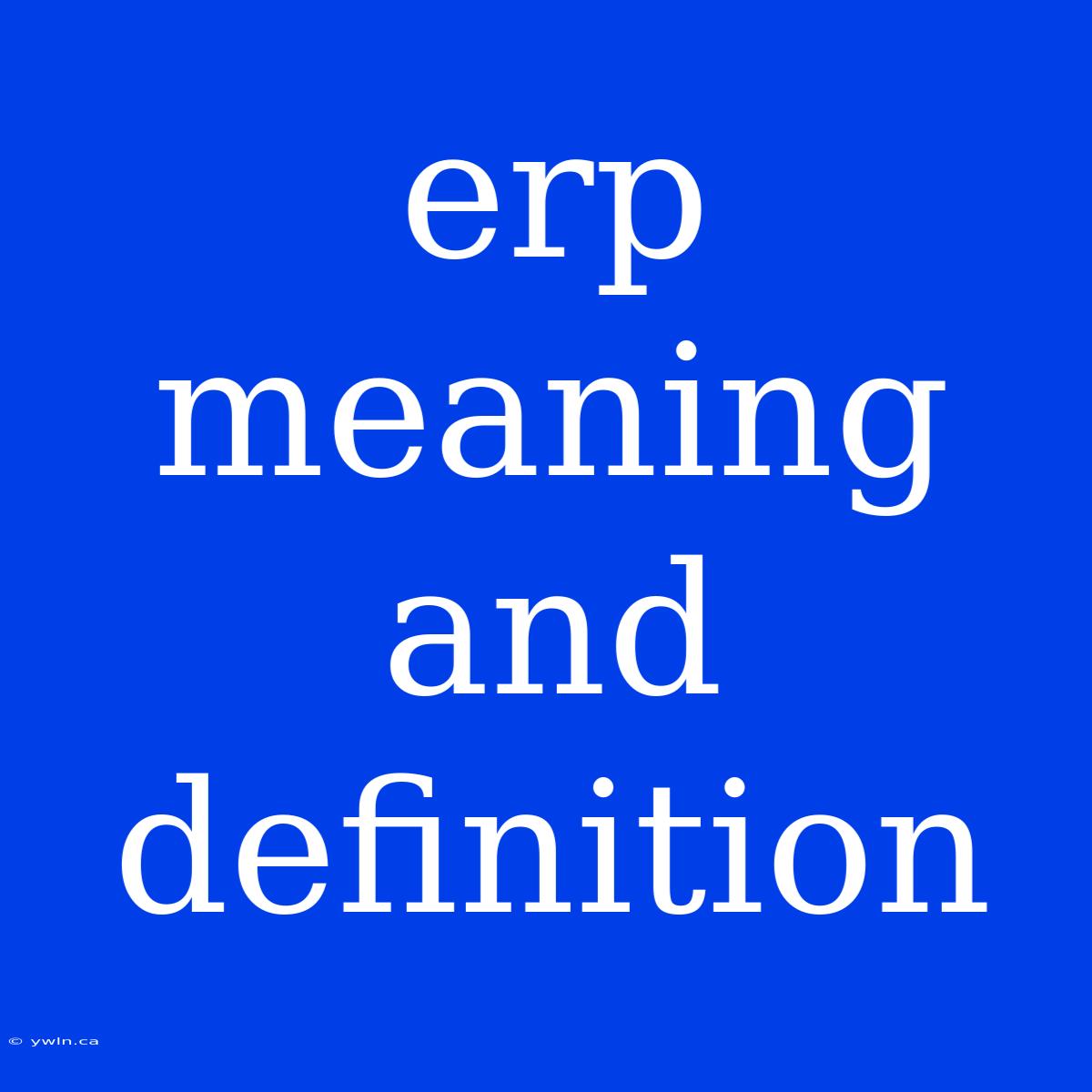 Erp Meaning And Definition