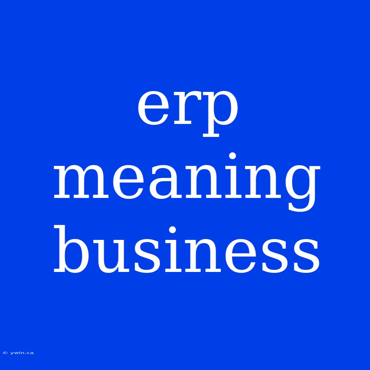 Erp Meaning Business