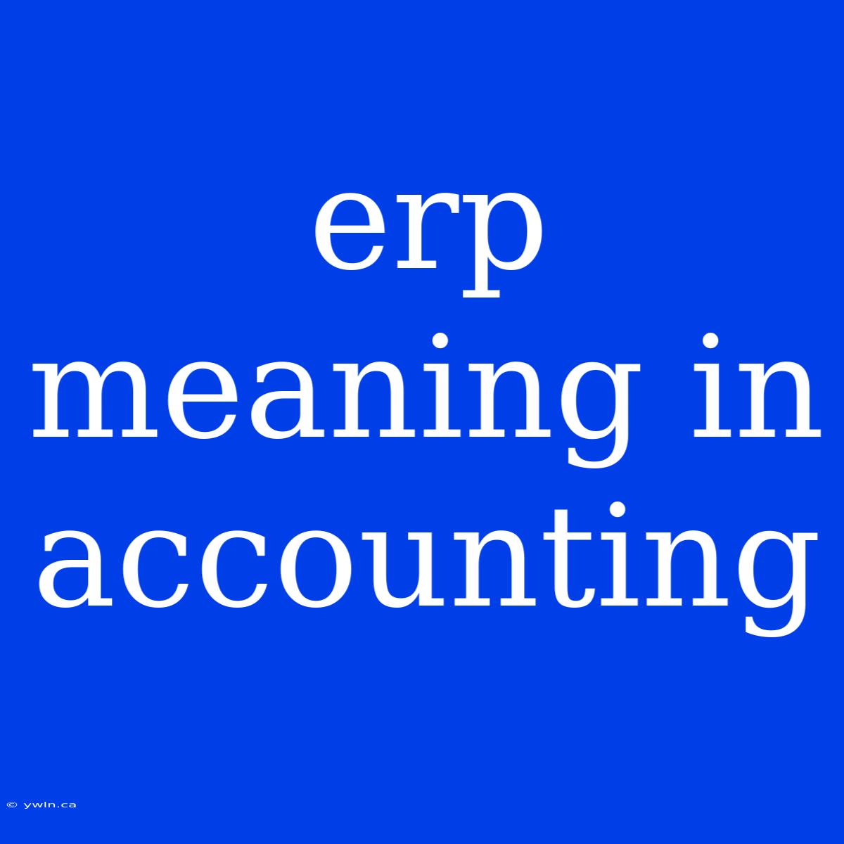 Erp Meaning In Accounting