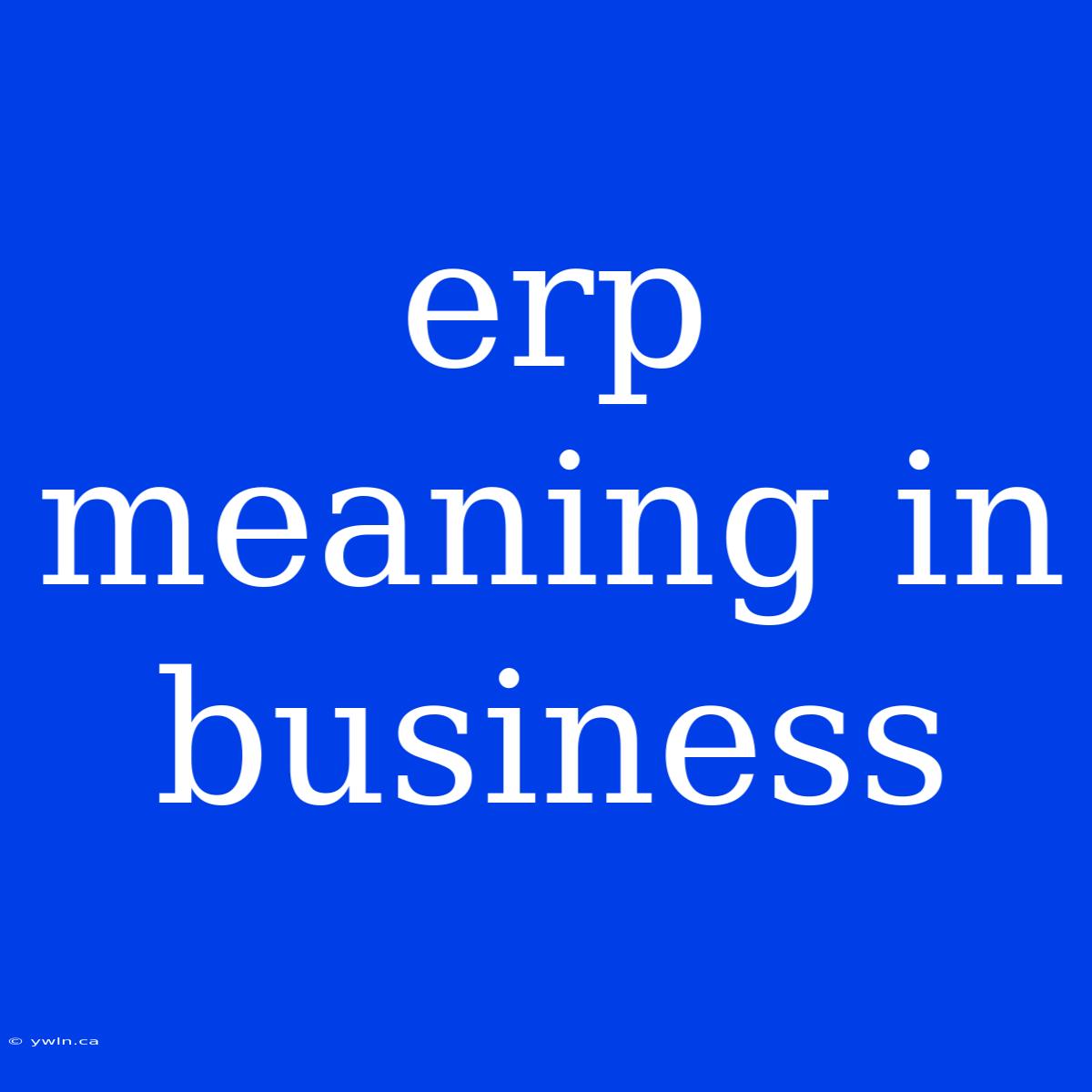 Erp Meaning In Business