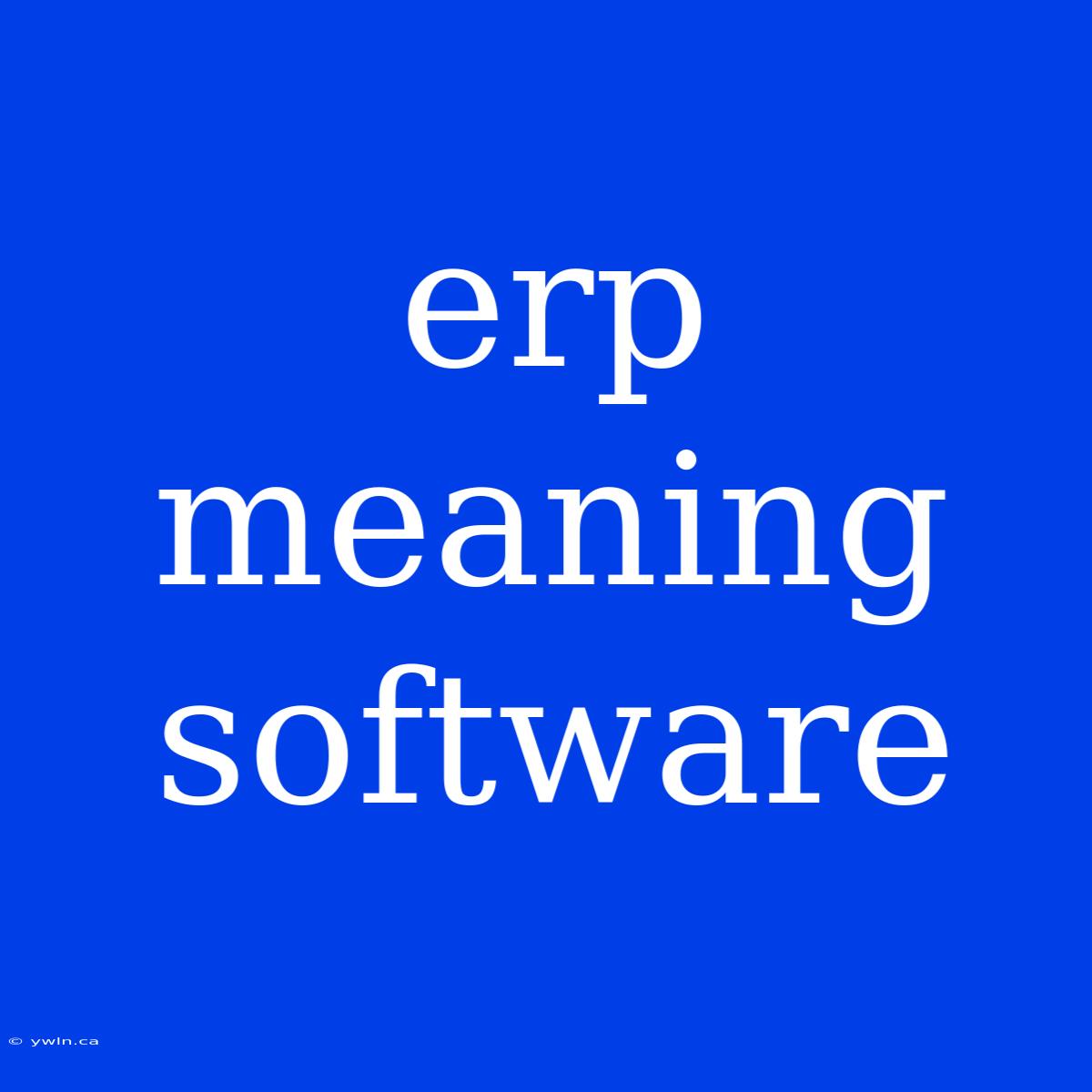 Erp Meaning Software