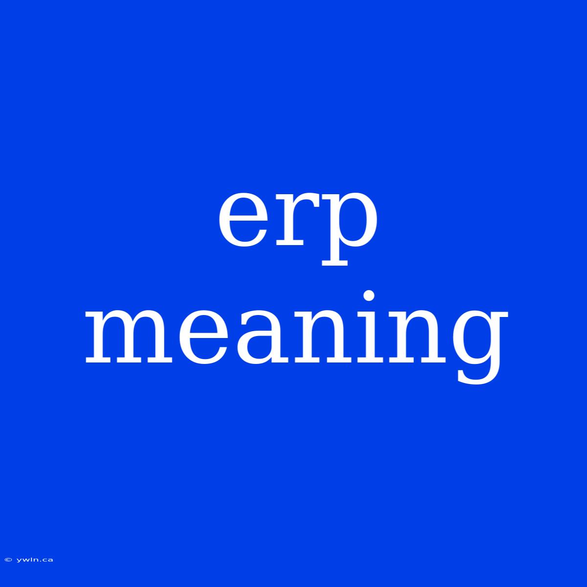 Erp Meaning