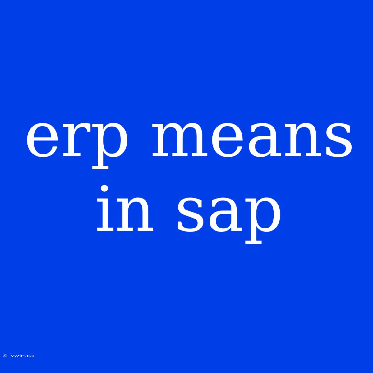 Erp Means In Sap