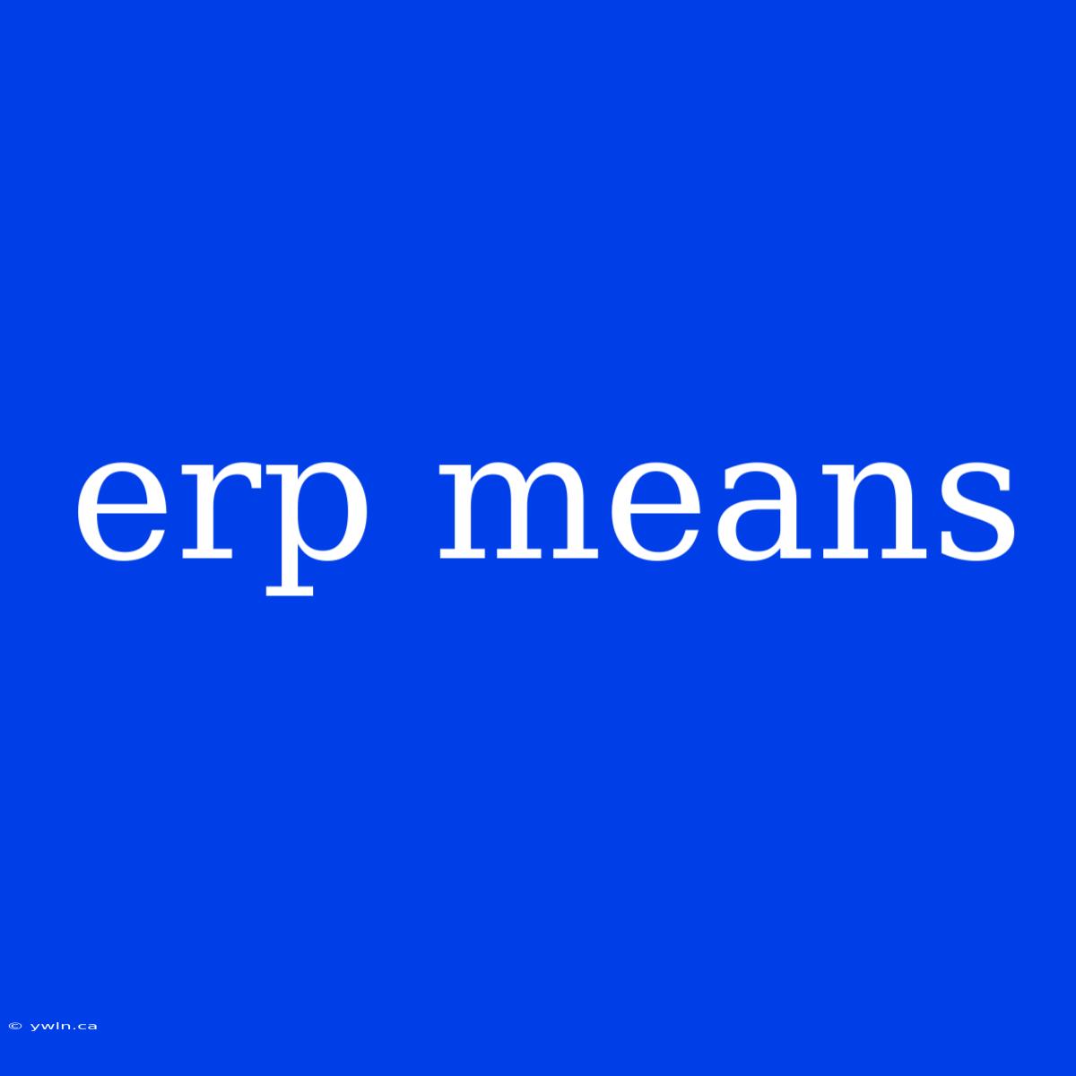 Erp Means