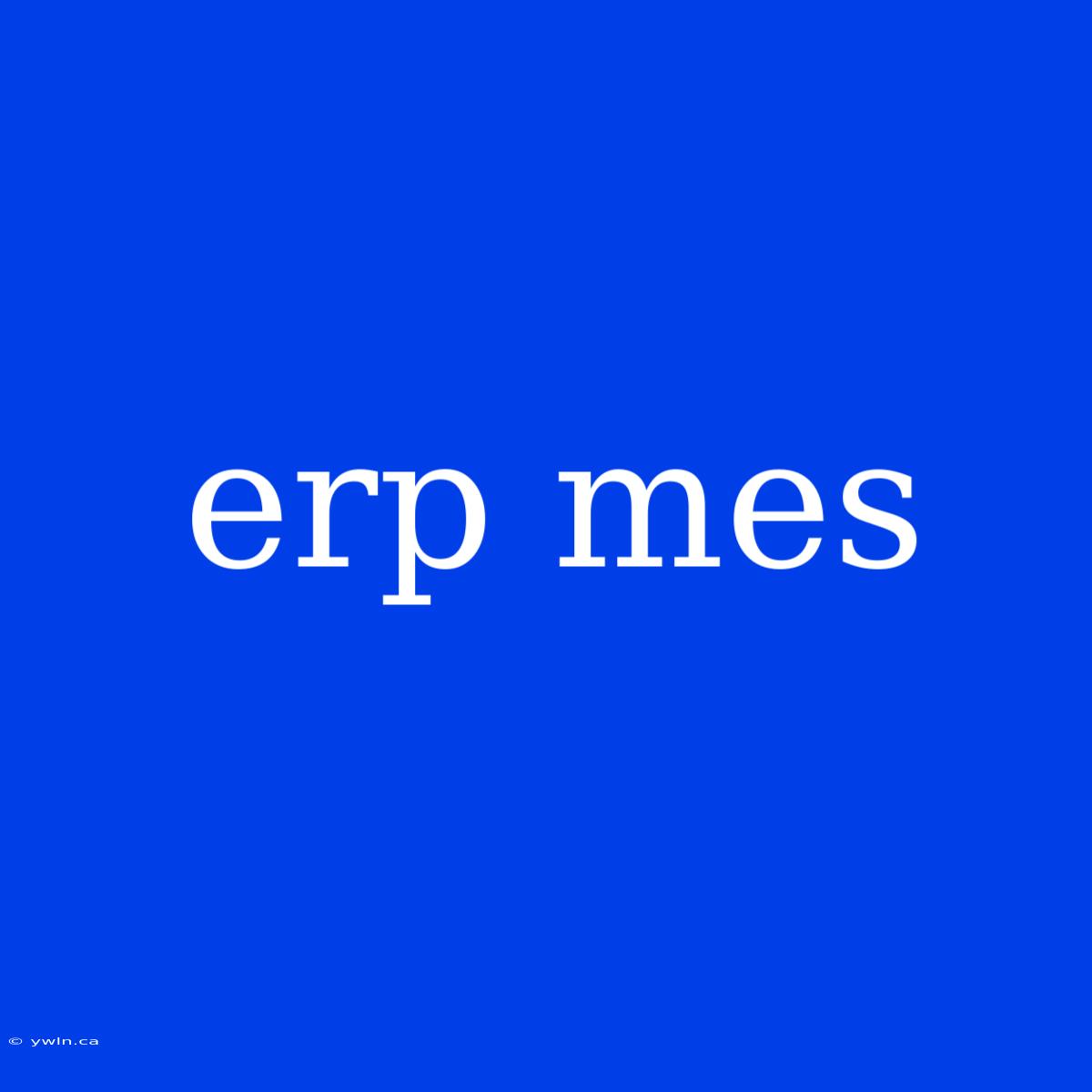 Erp Mes