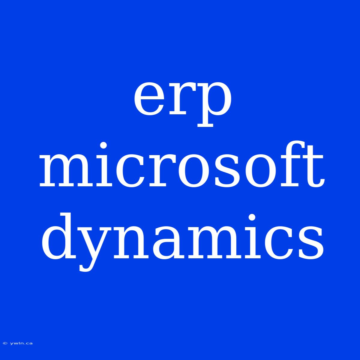 Erp Microsoft Dynamics