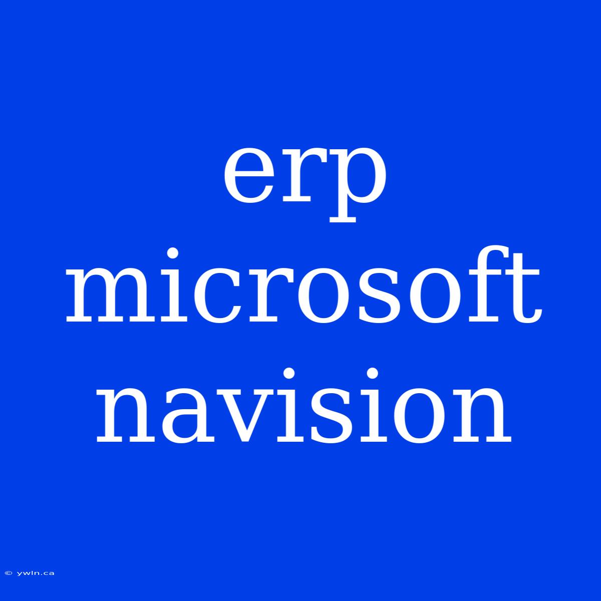 Erp Microsoft Navision