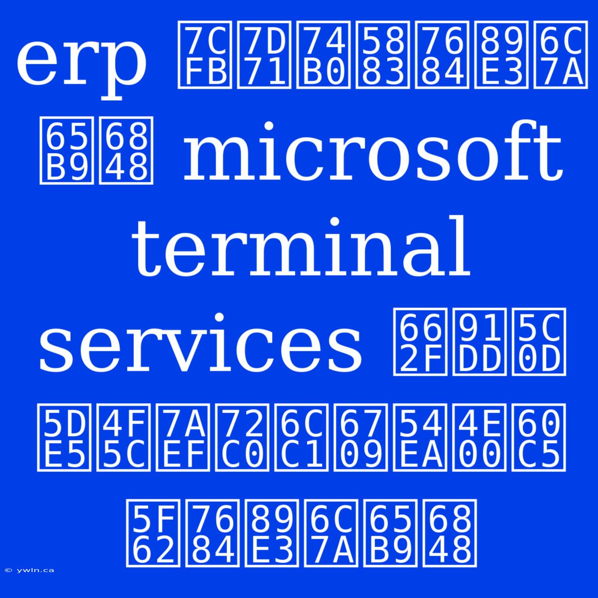 Erp 系統環境的解決方案 Microsoft Terminal Services 是針對工作端狀況有哪一情形的解決方案