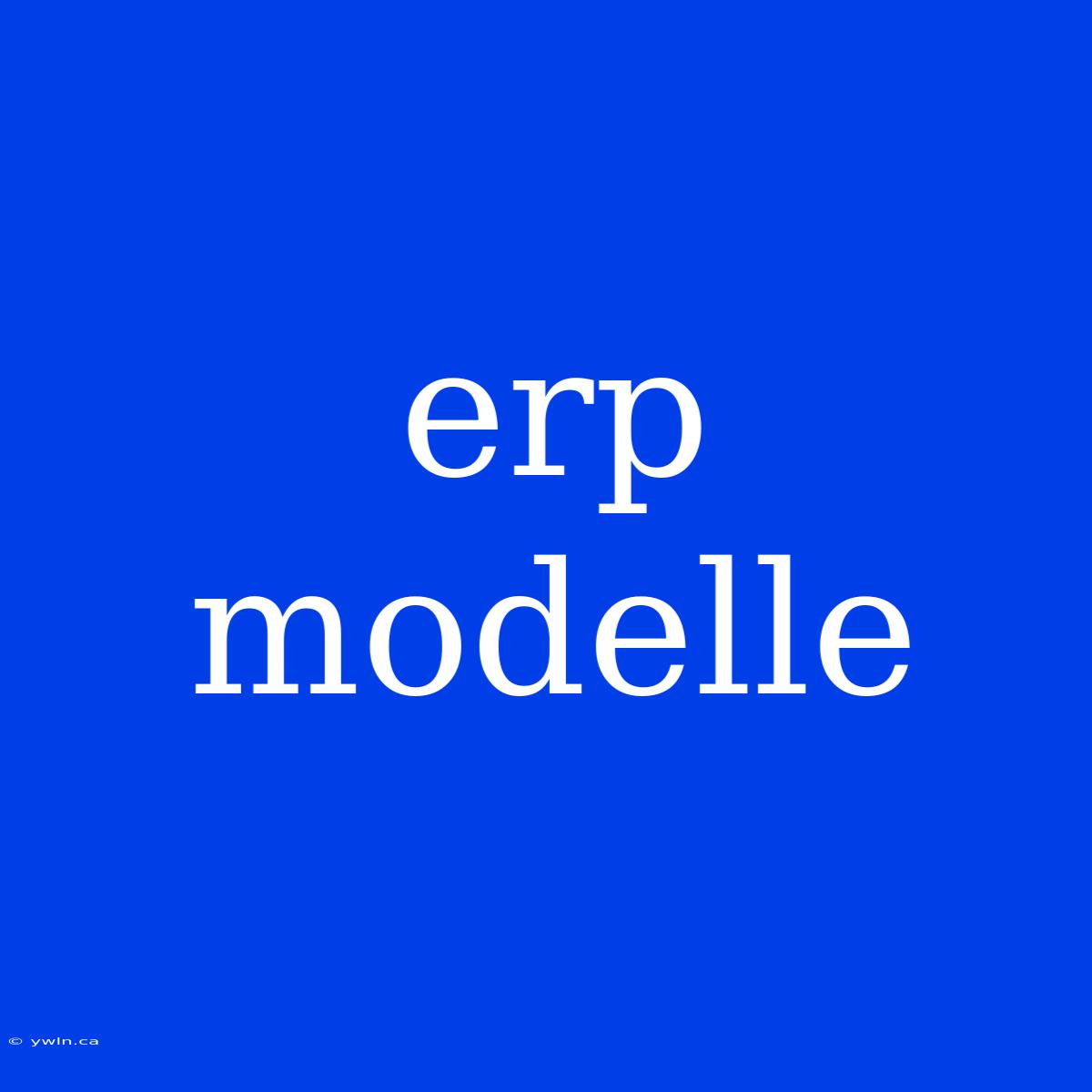 Erp Modelle