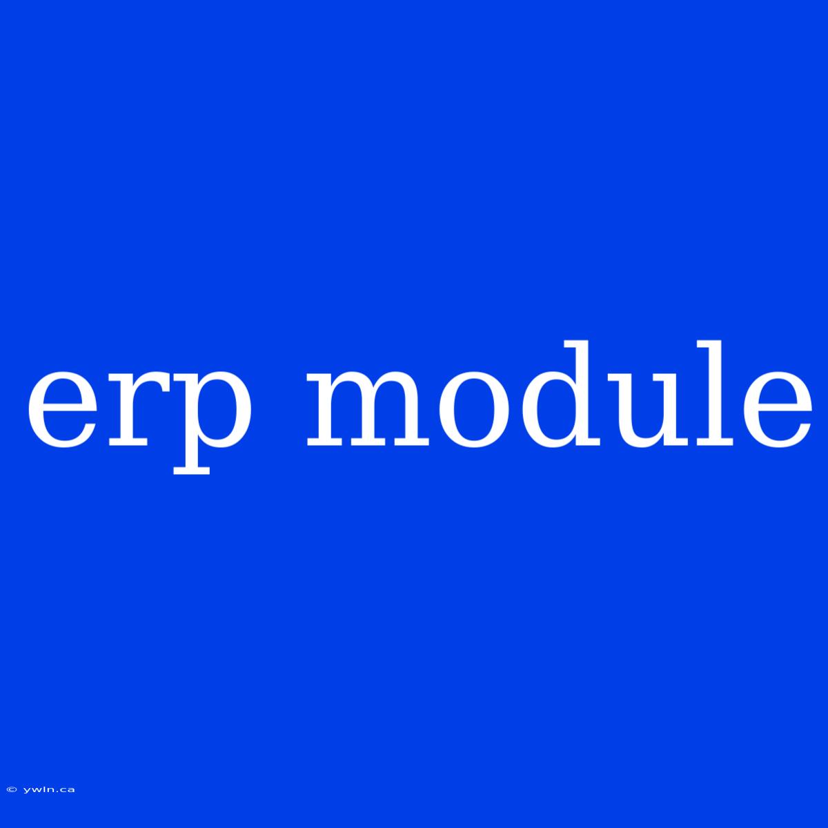 Erp Module