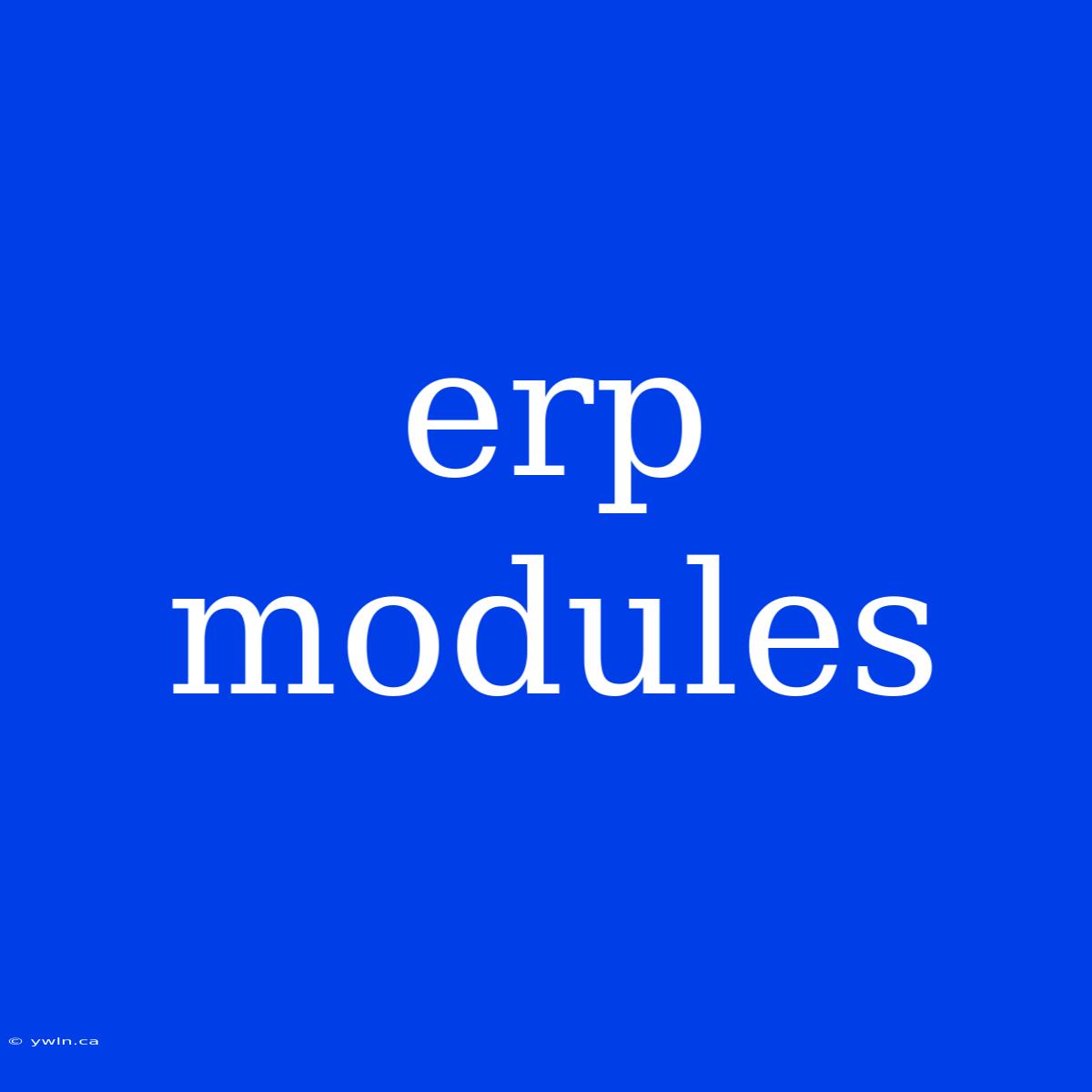 Erp Modules