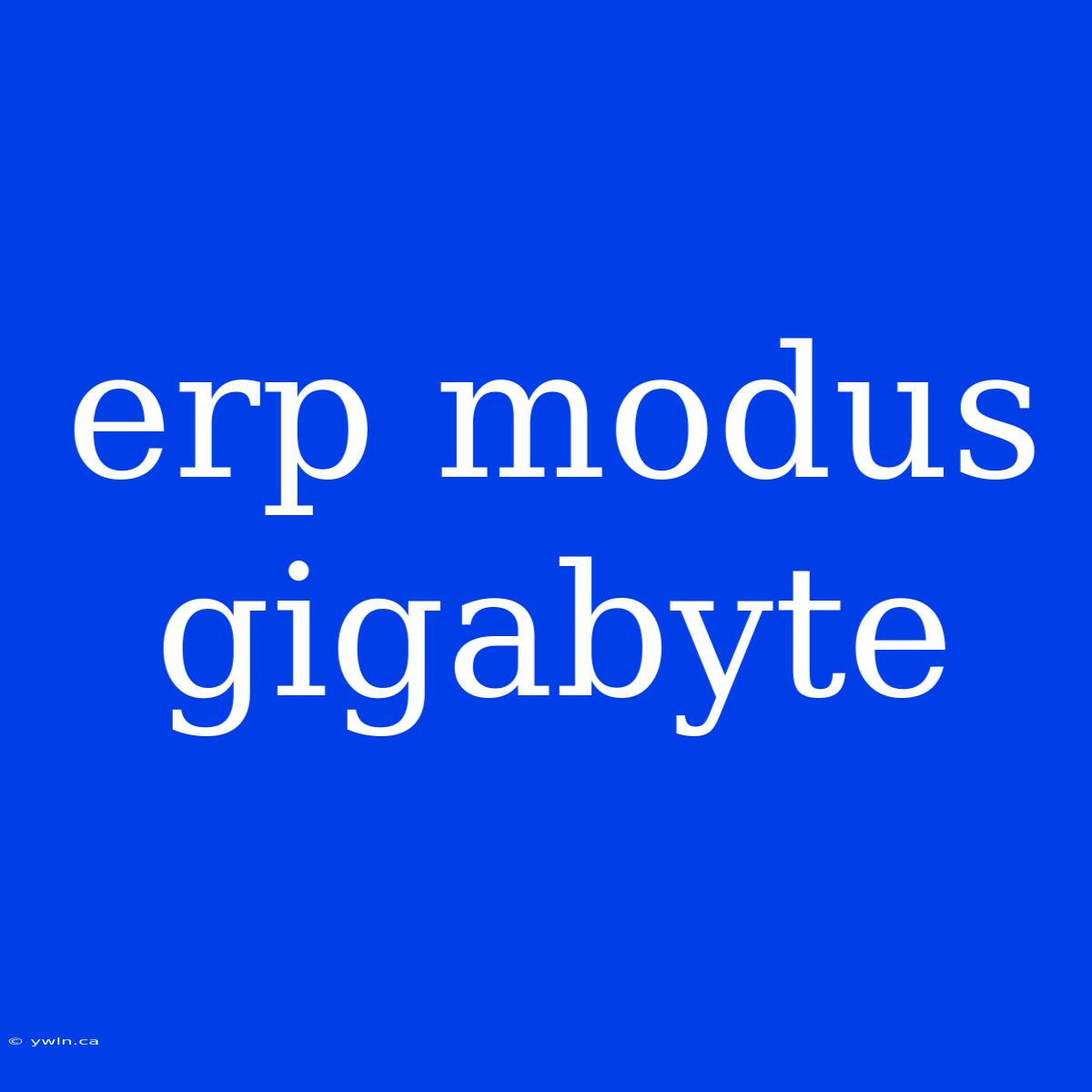 Erp Modus Gigabyte