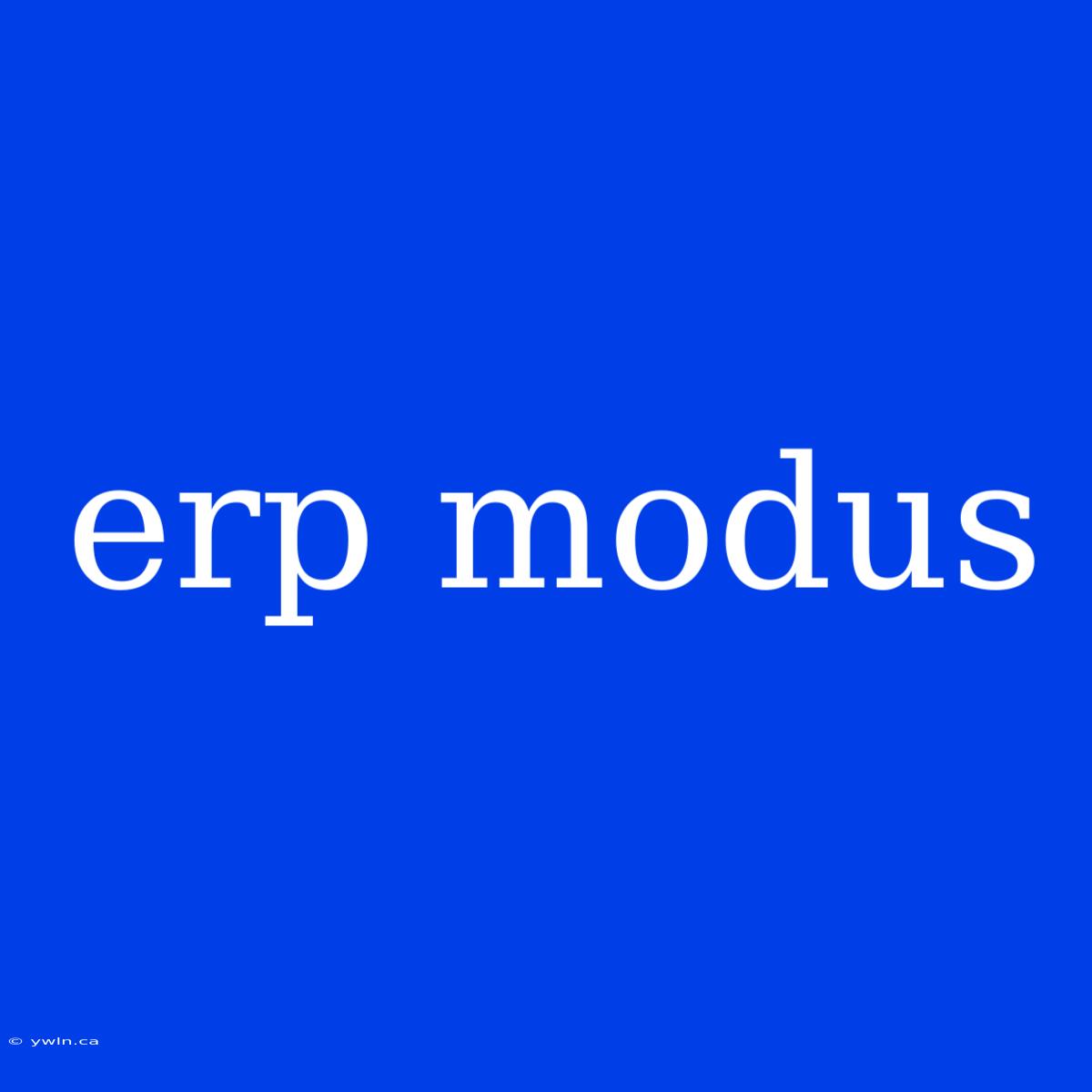 Erp Modus