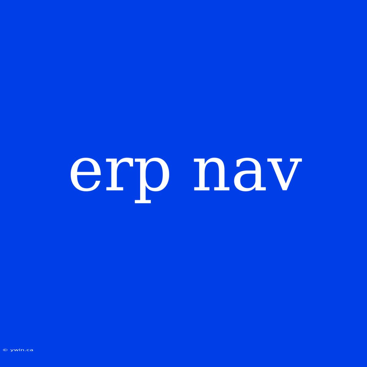 Erp Nav