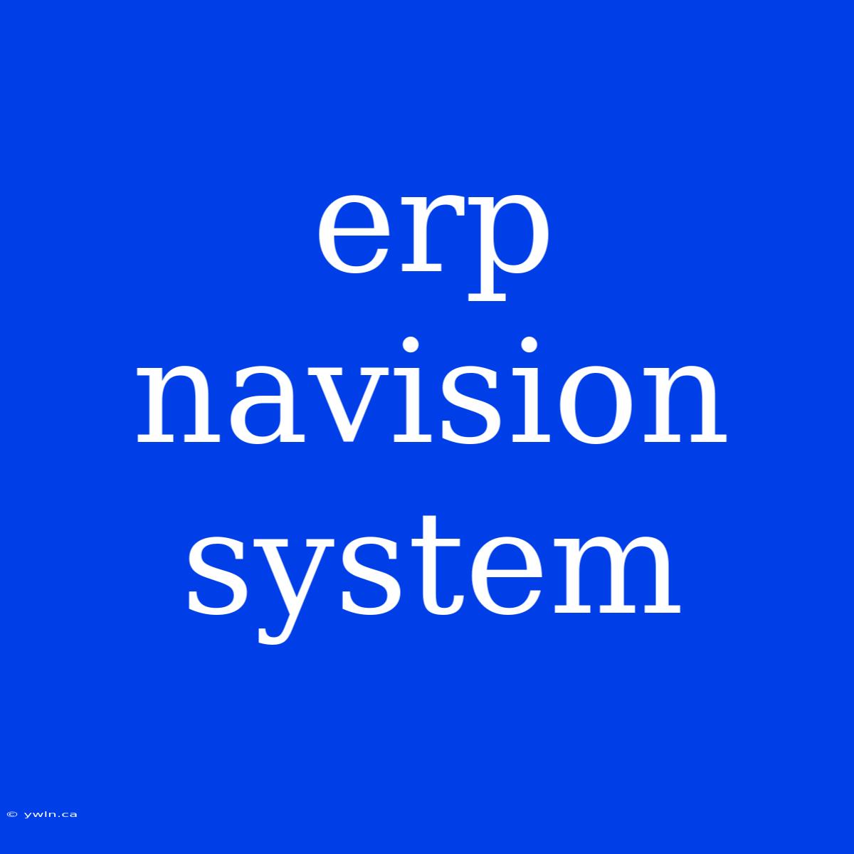 Erp Navision System