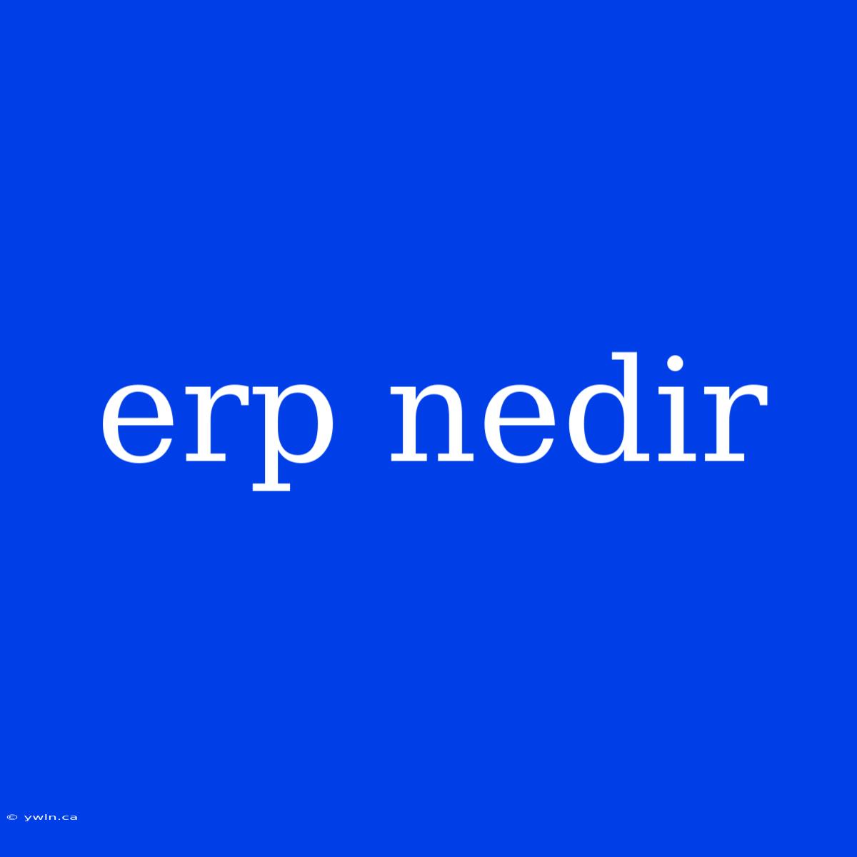 Erp Nedir