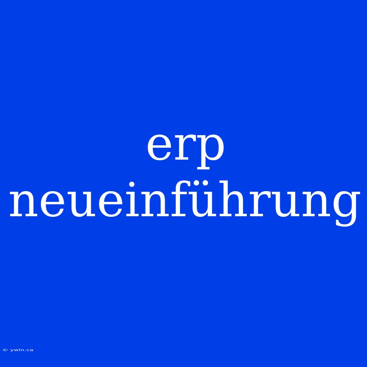 Erp Neueinführung