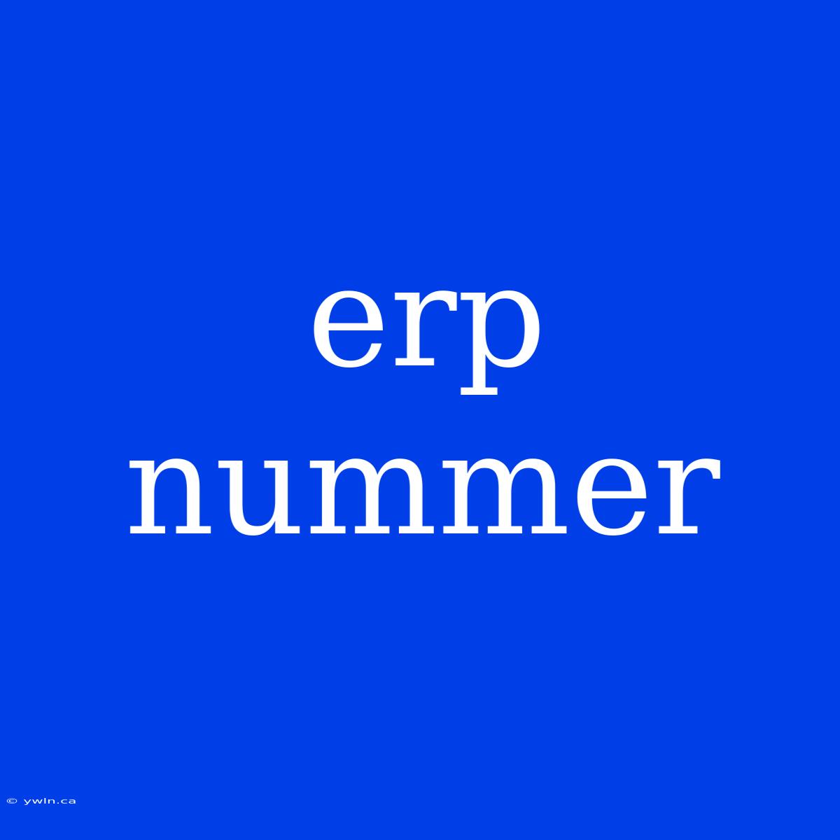 Erp Nummer