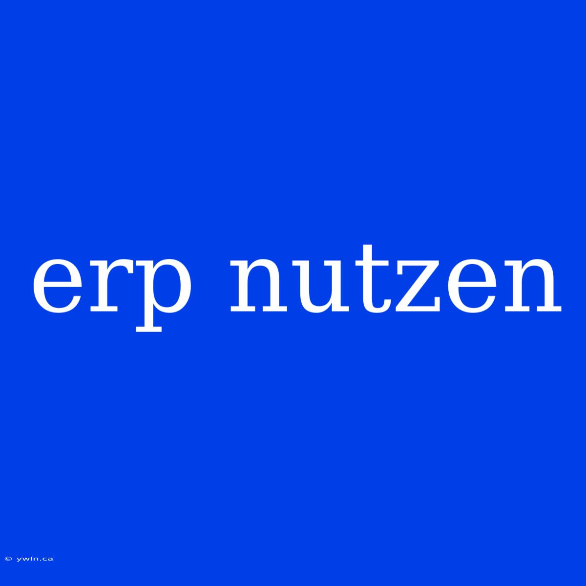 Erp Nutzen