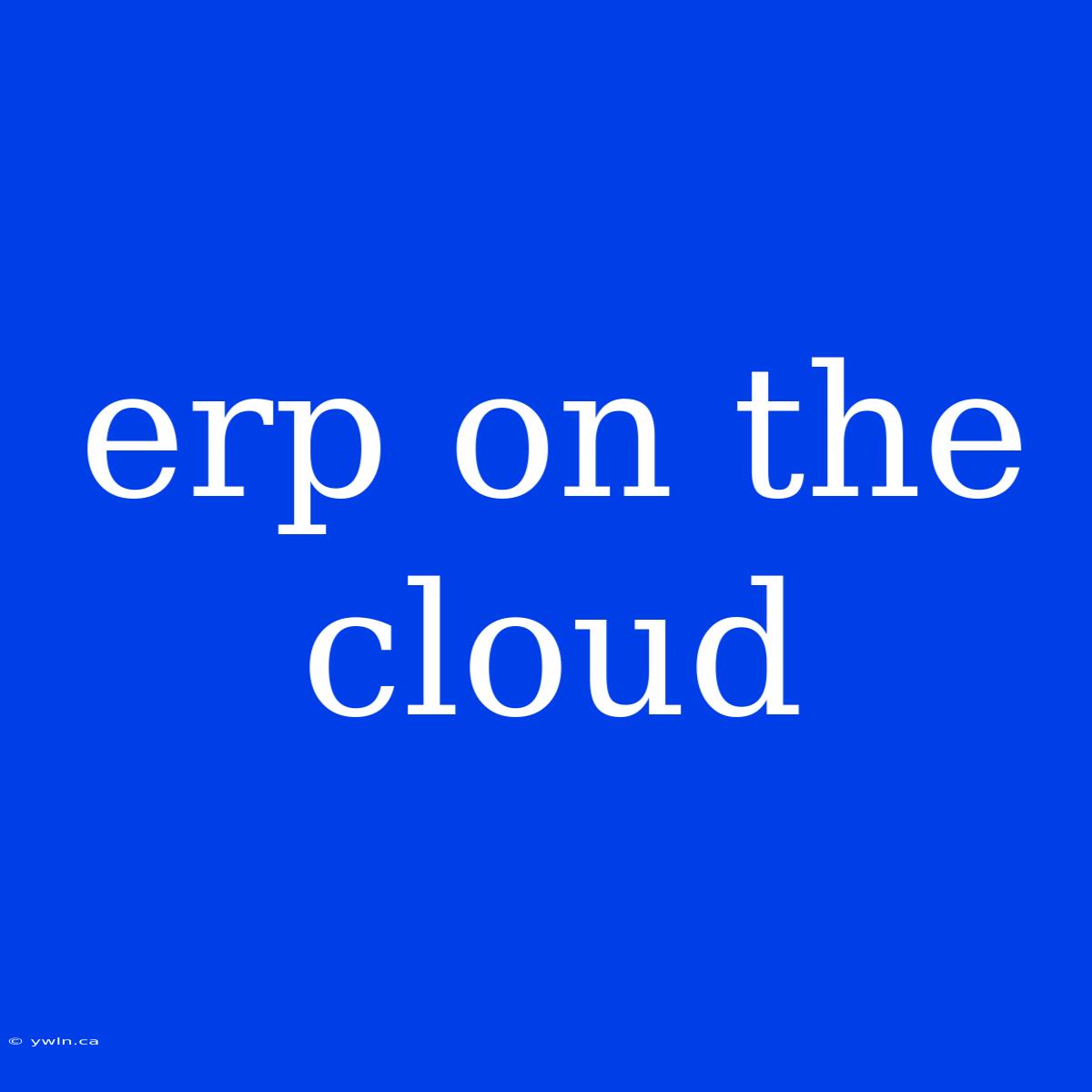 Erp On The Cloud