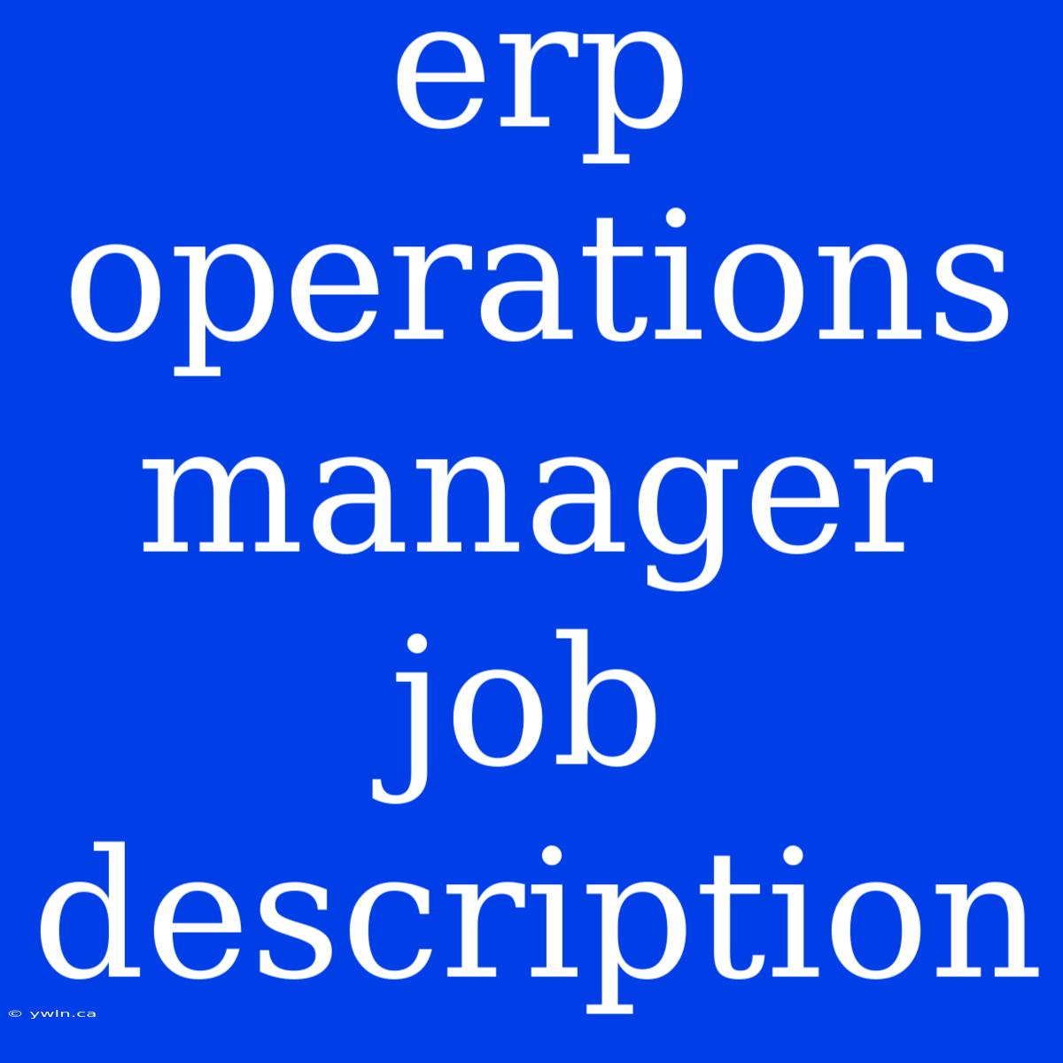 Erp Operations Manager Job Description