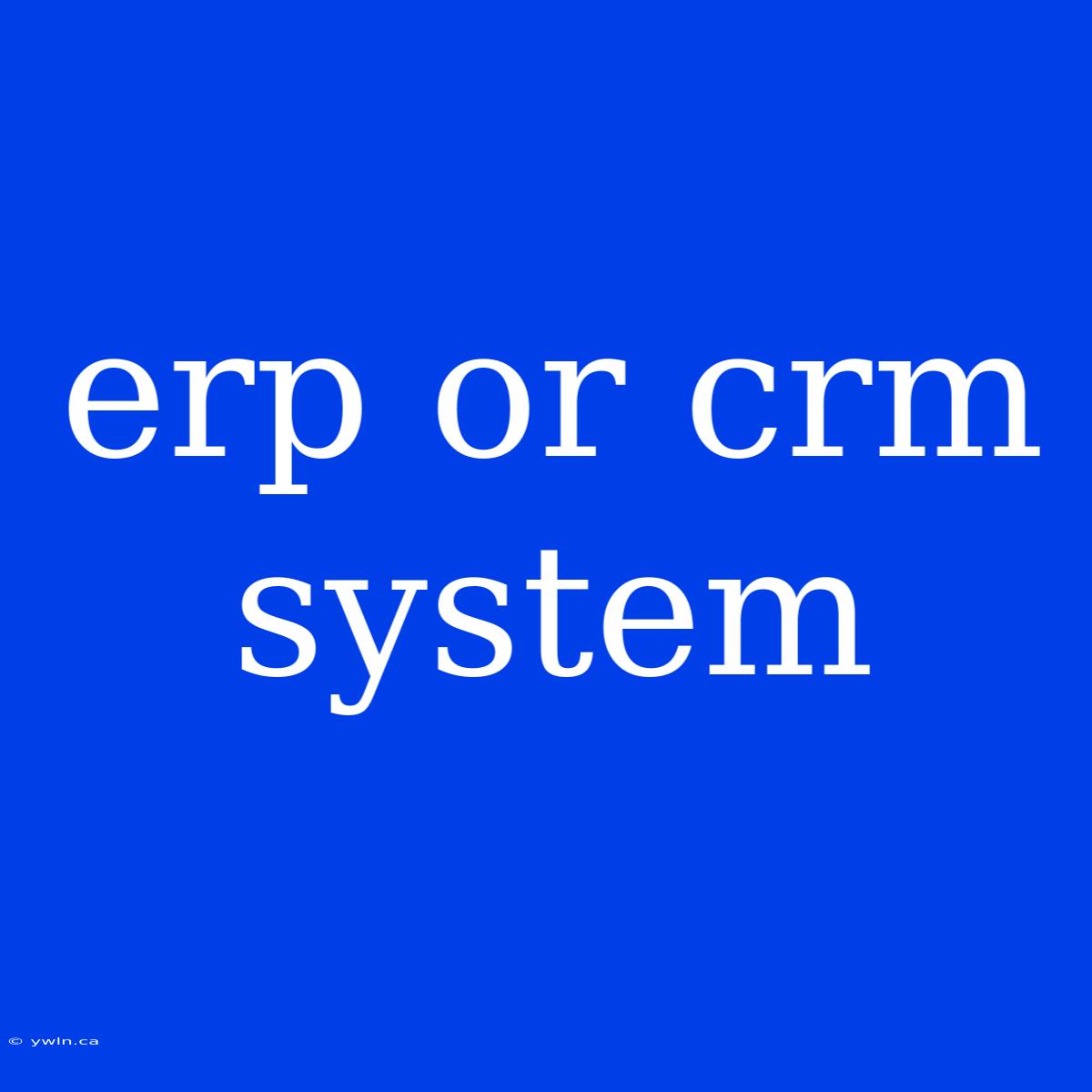 Erp Or Crm System