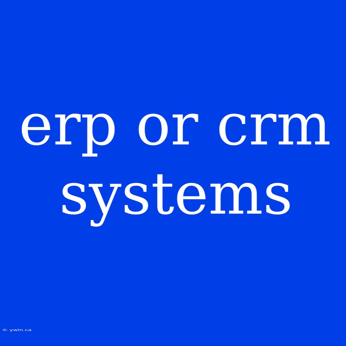 Erp Or Crm Systems