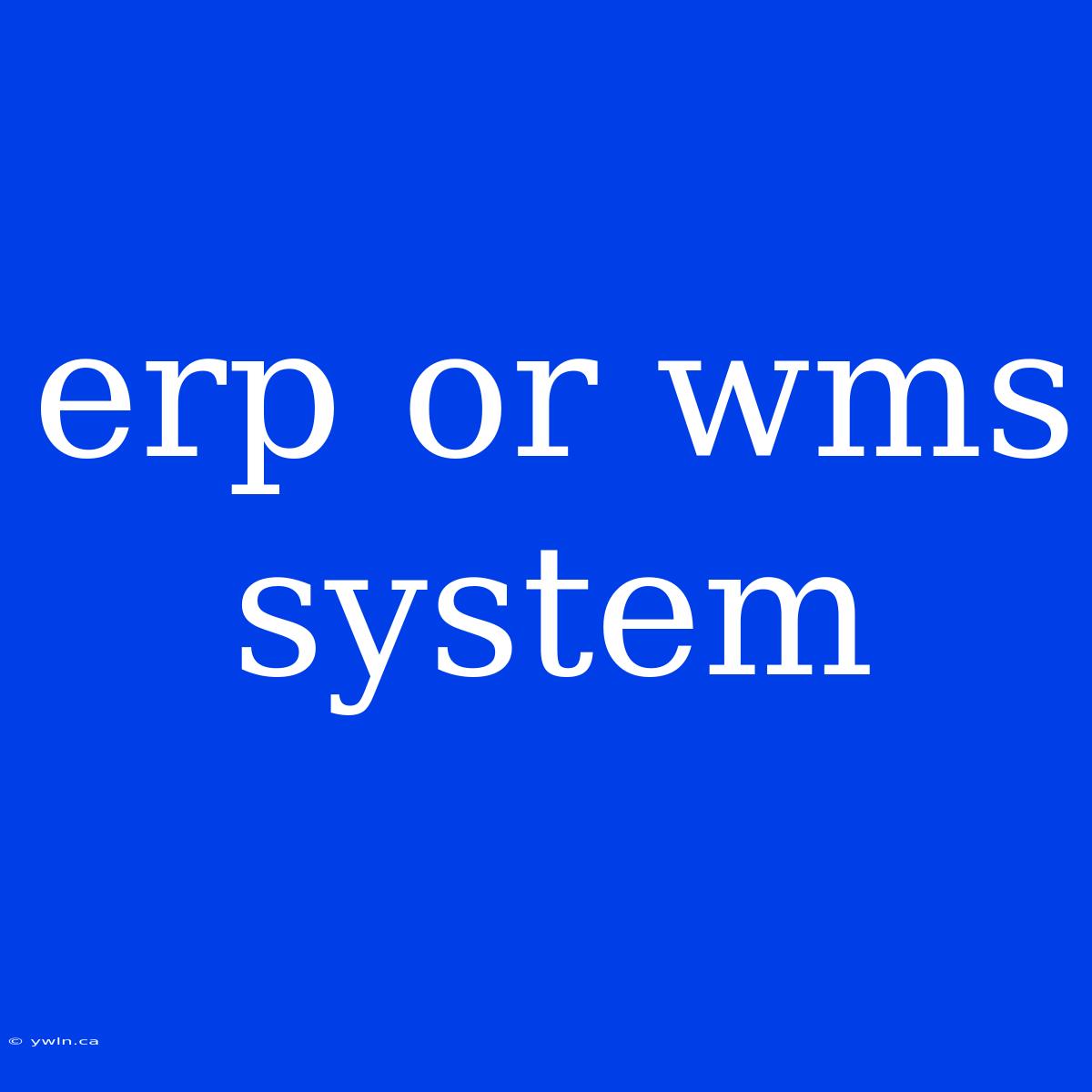 Erp Or Wms System