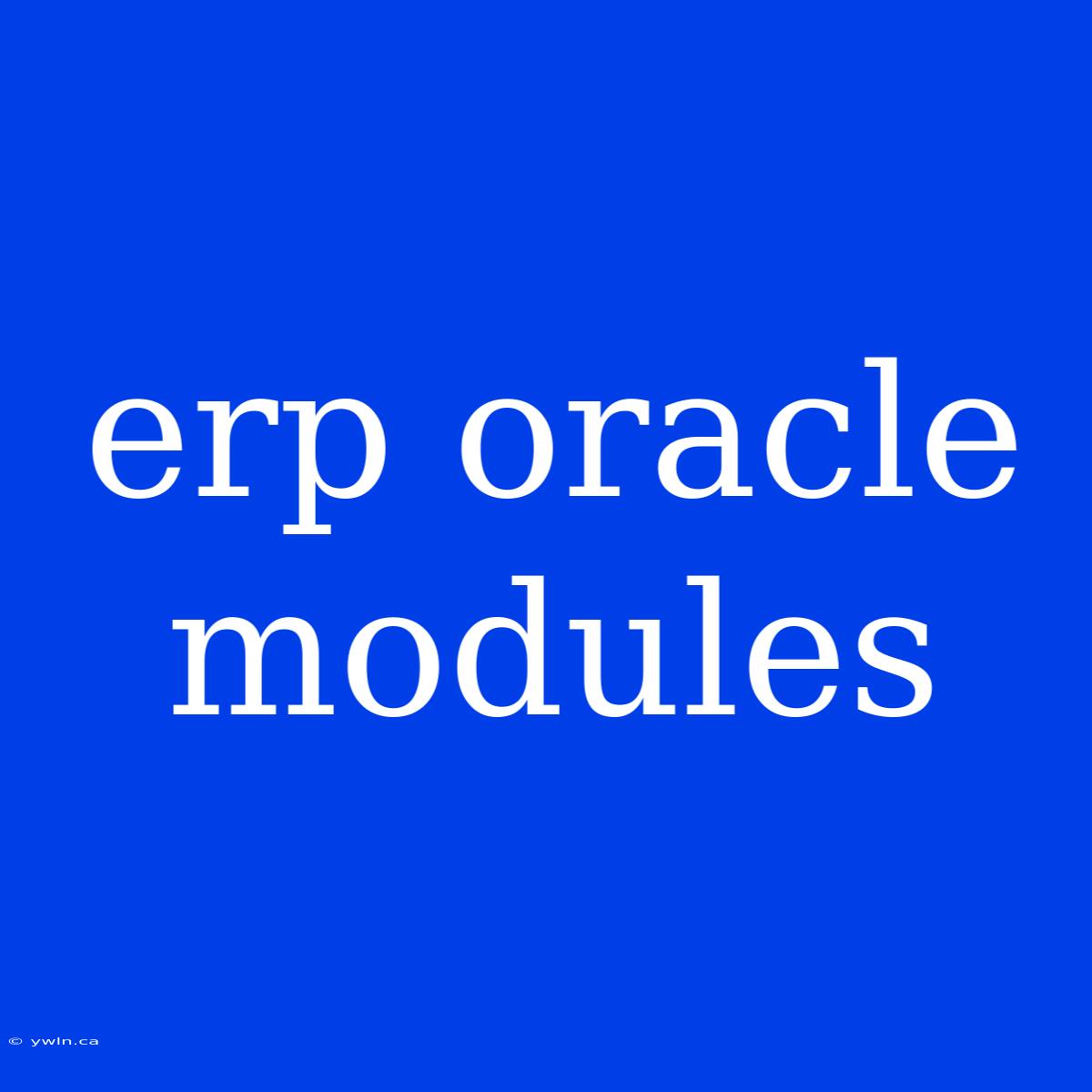 Erp Oracle Modules