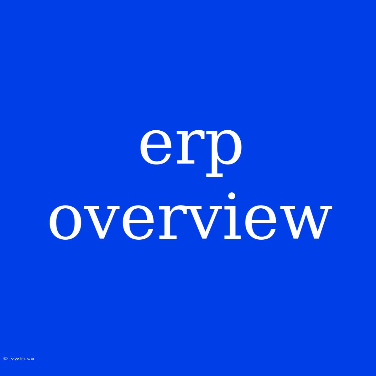 Erp Overview